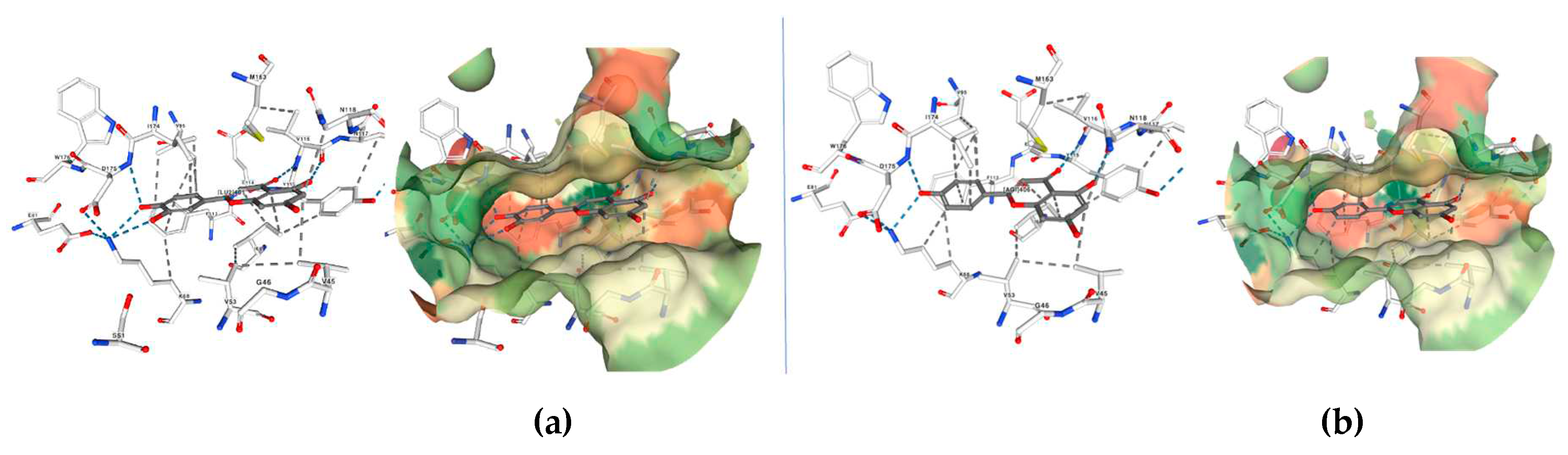 Preprints 82319 g019