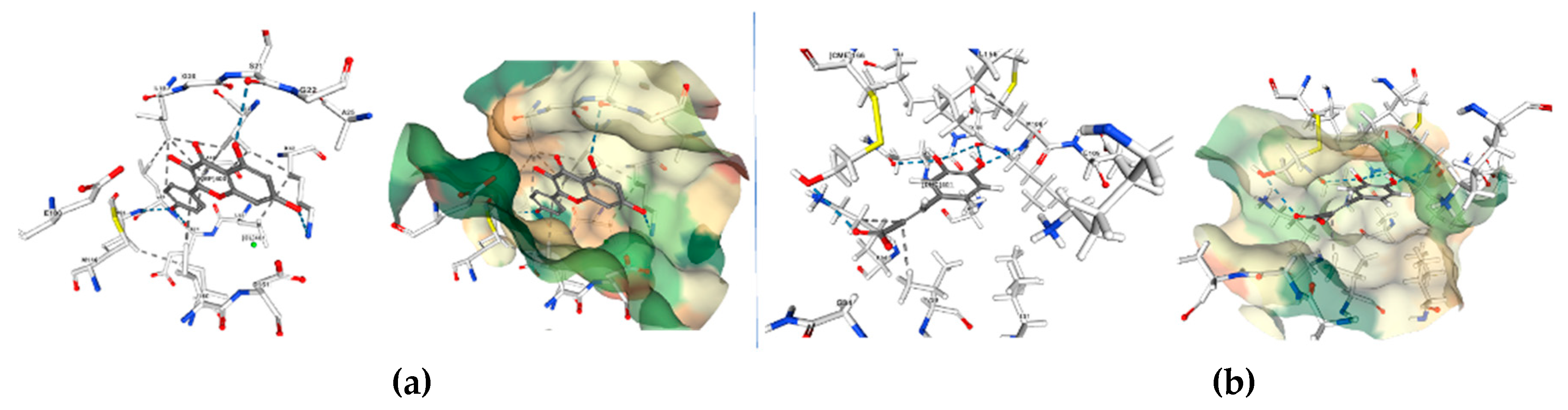 Preprints 82319 g020