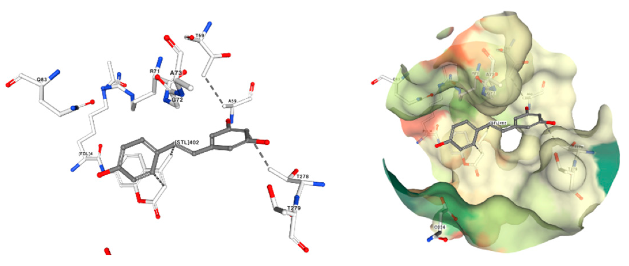 Preprints 82319 g021