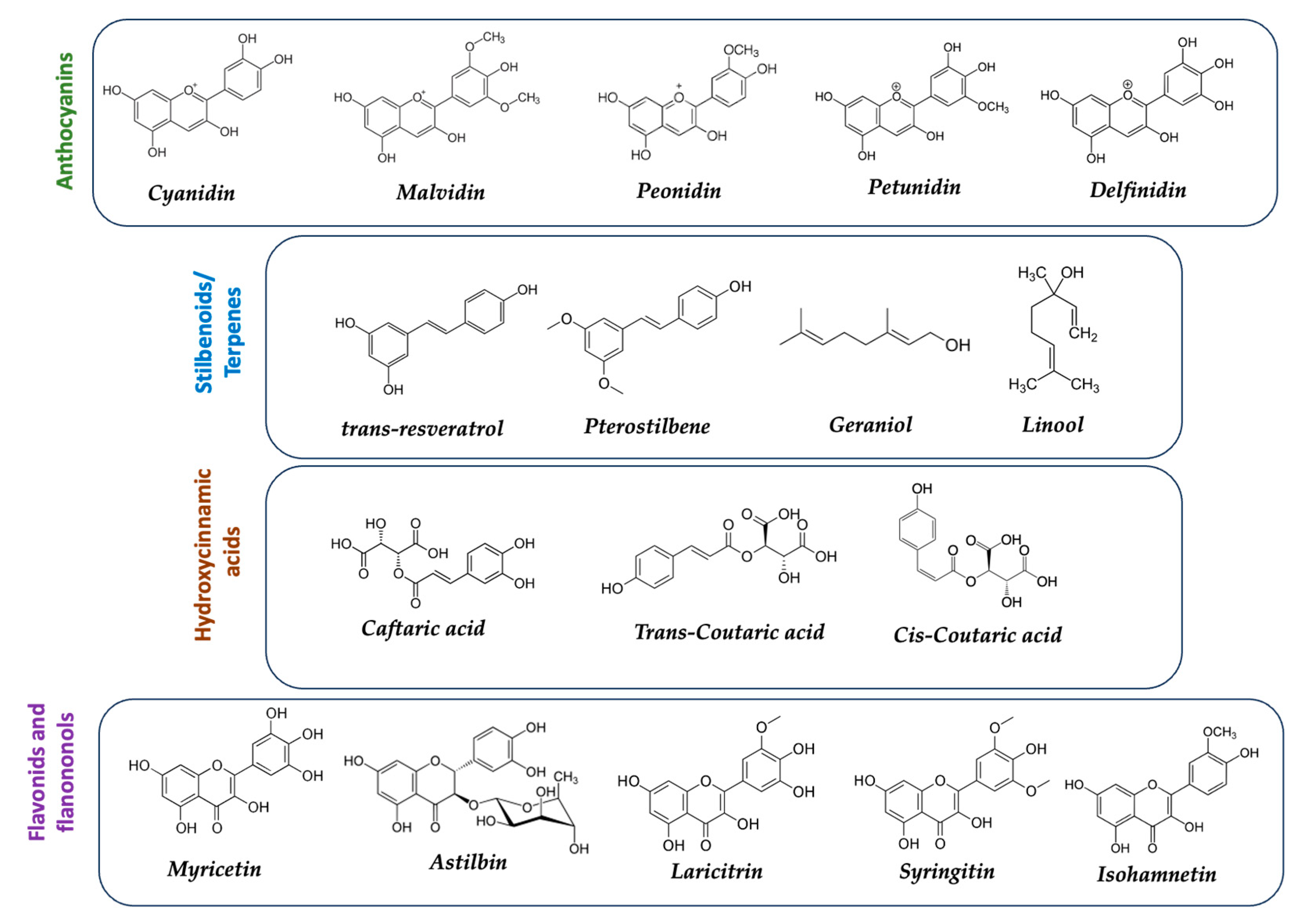 Preprints 82319 g022