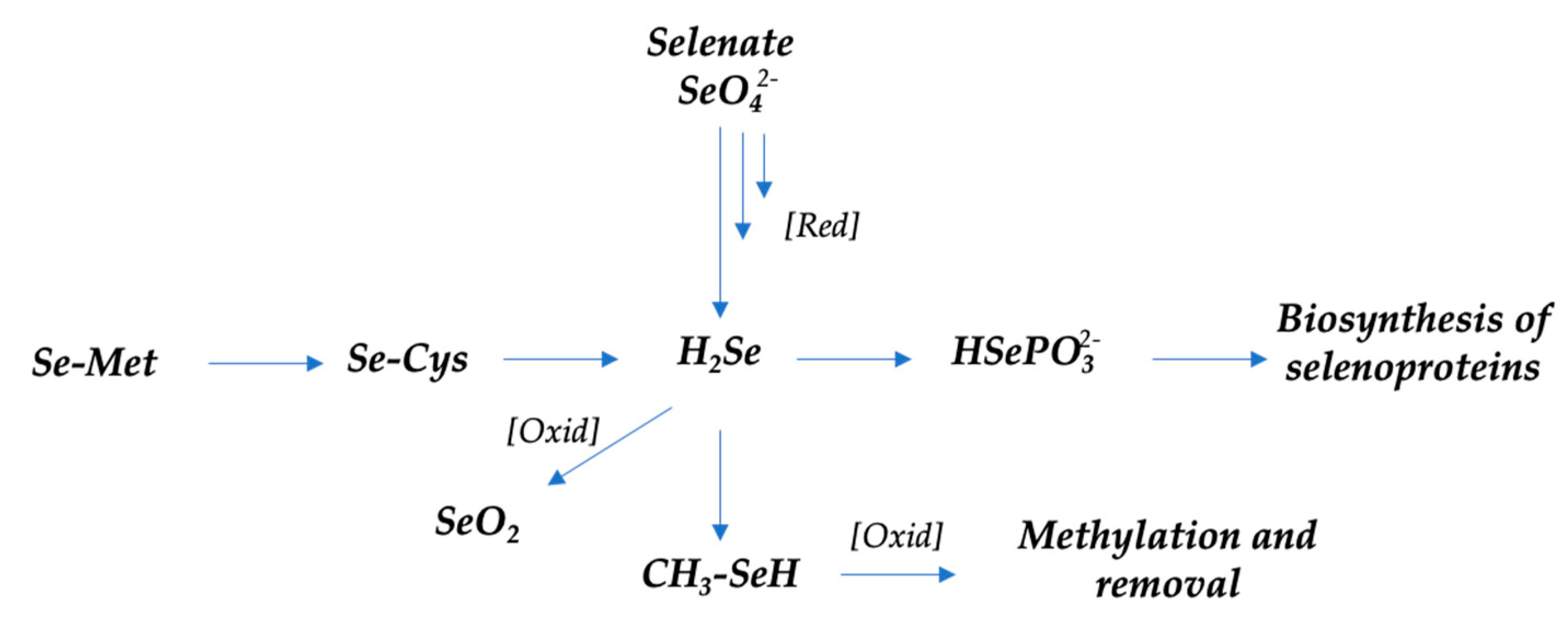 Preprints 82319 sch001