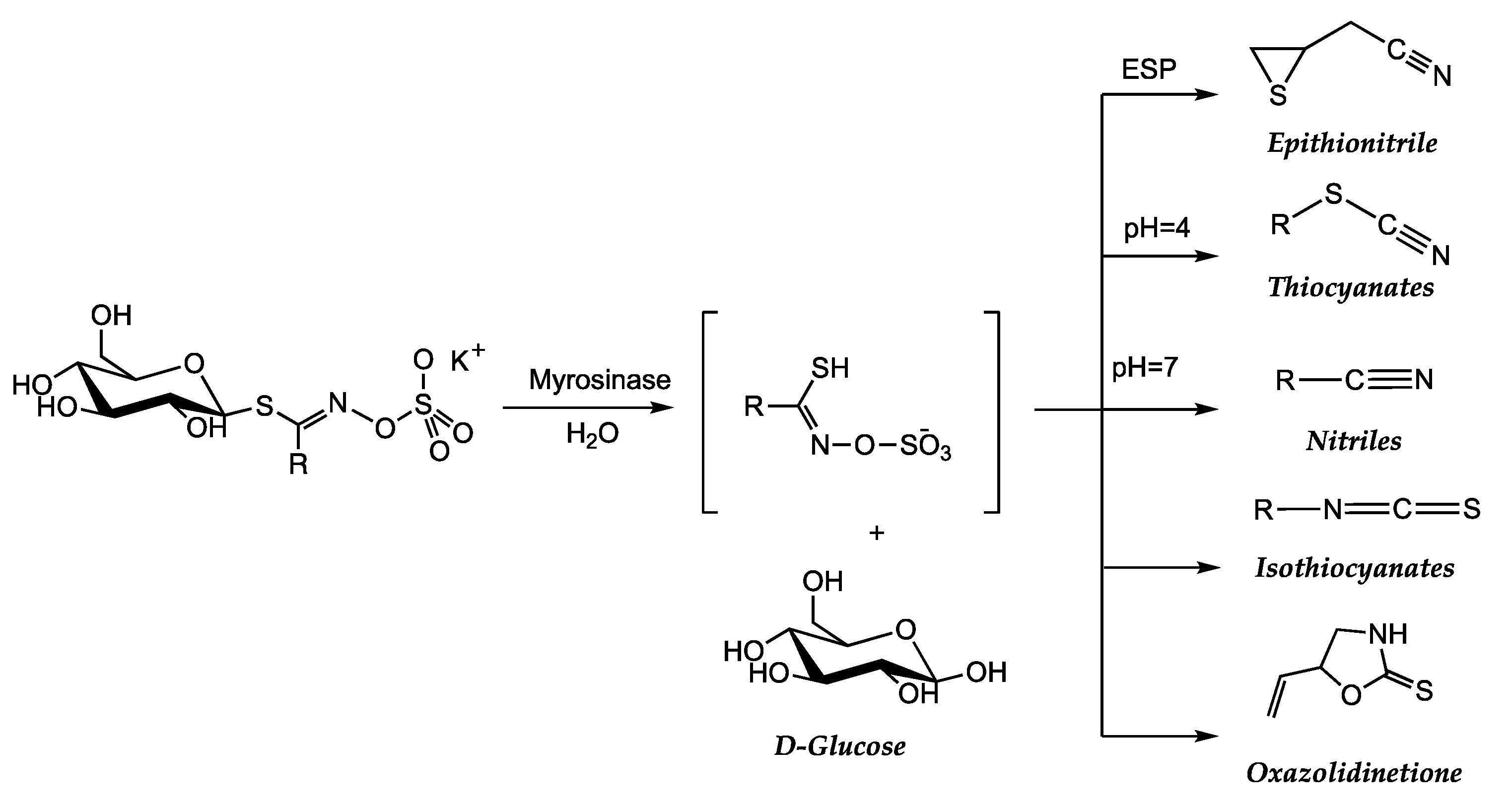 Preprints 82319 sch002