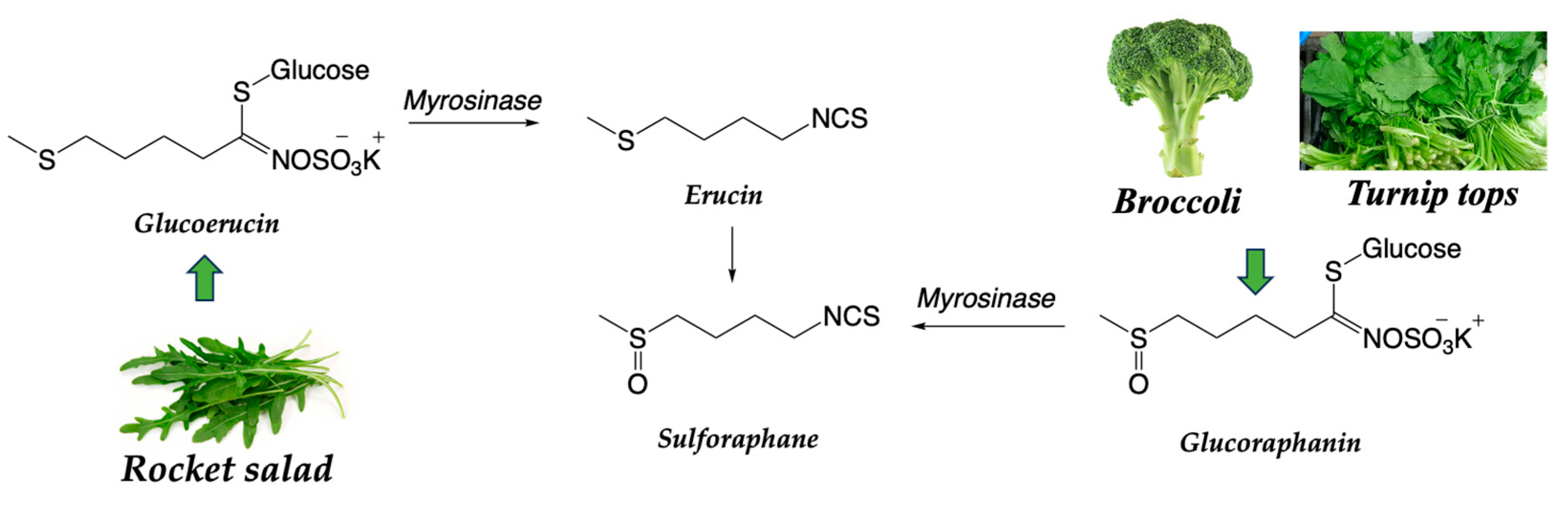 Preprints 82319 sch003