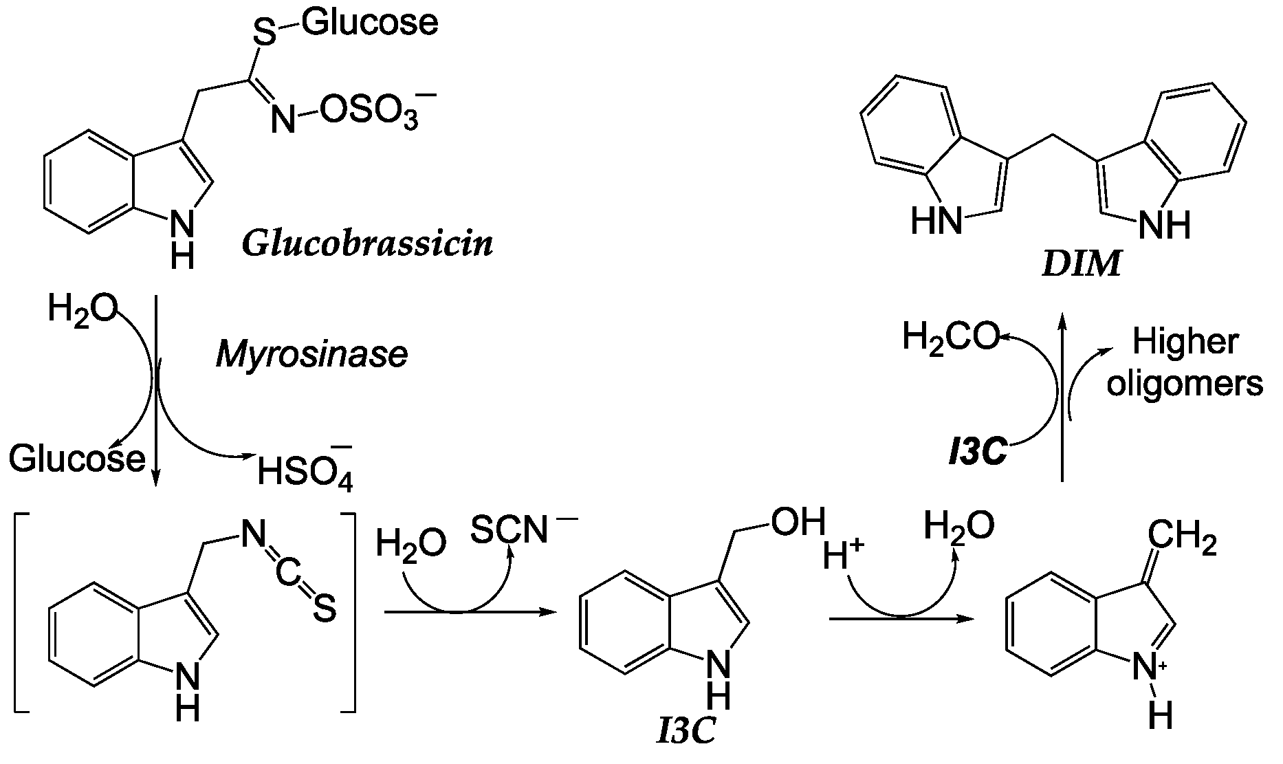 Preprints 82319 sch004