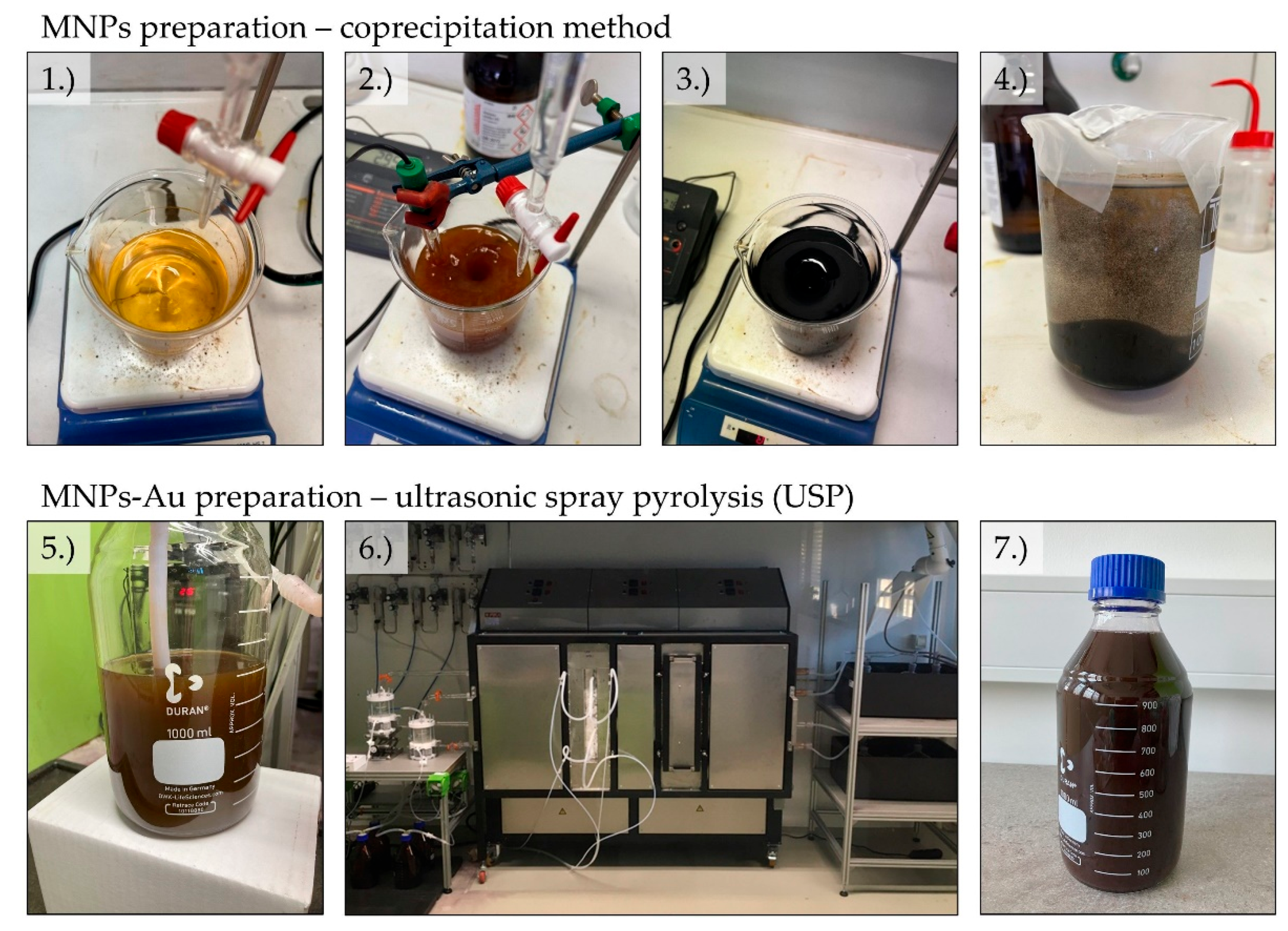 Preprints 119555 g001