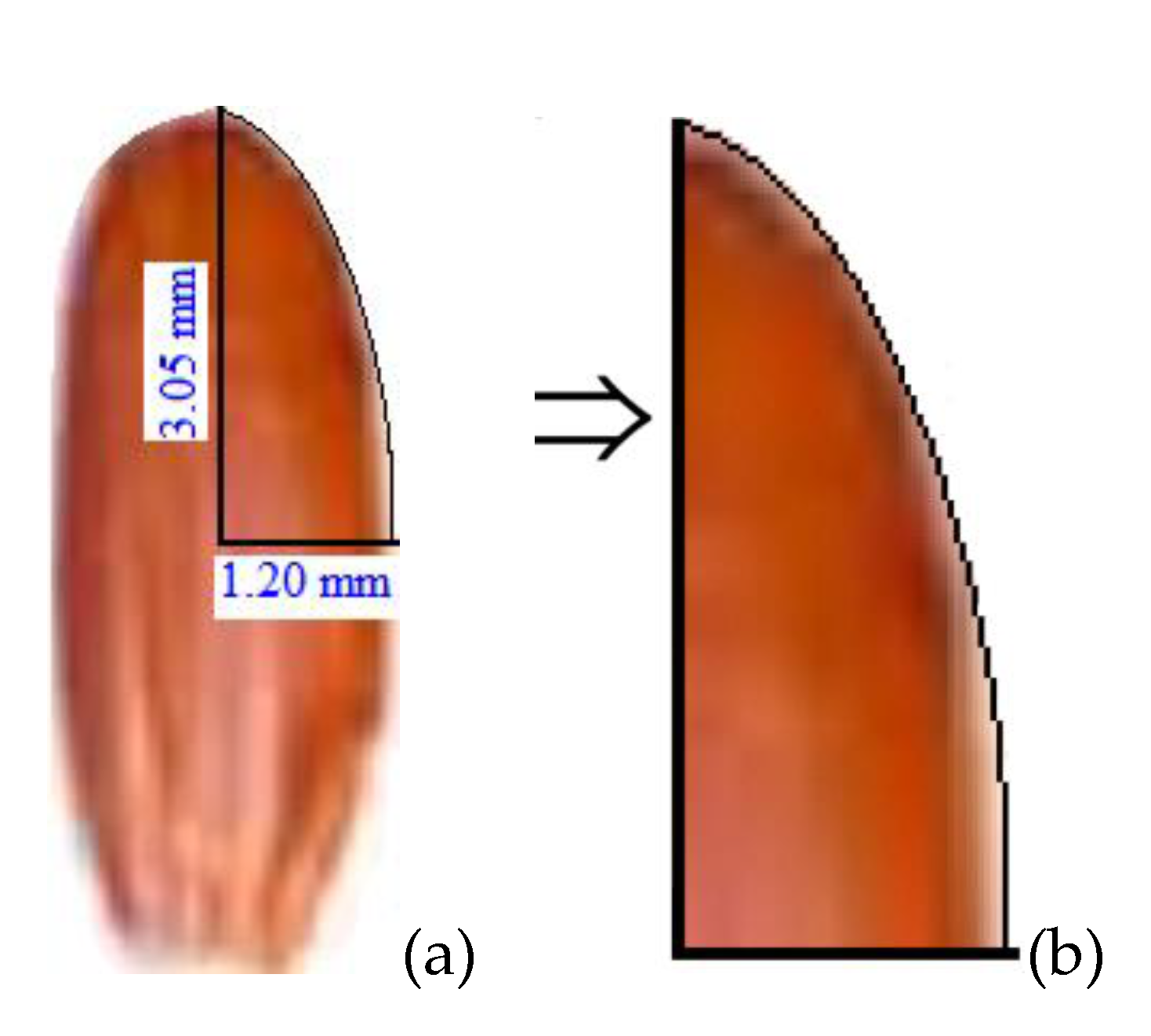 Preprints 111121 g001