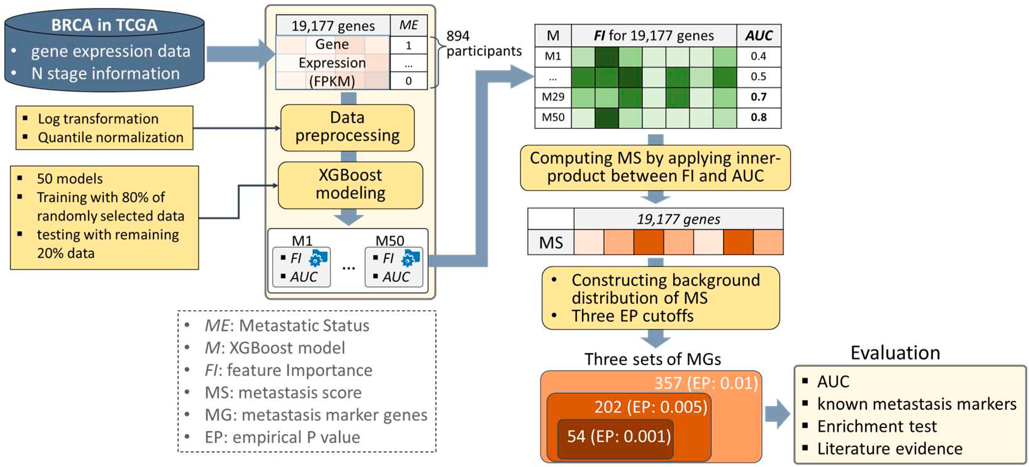 Preprints 84096 g001