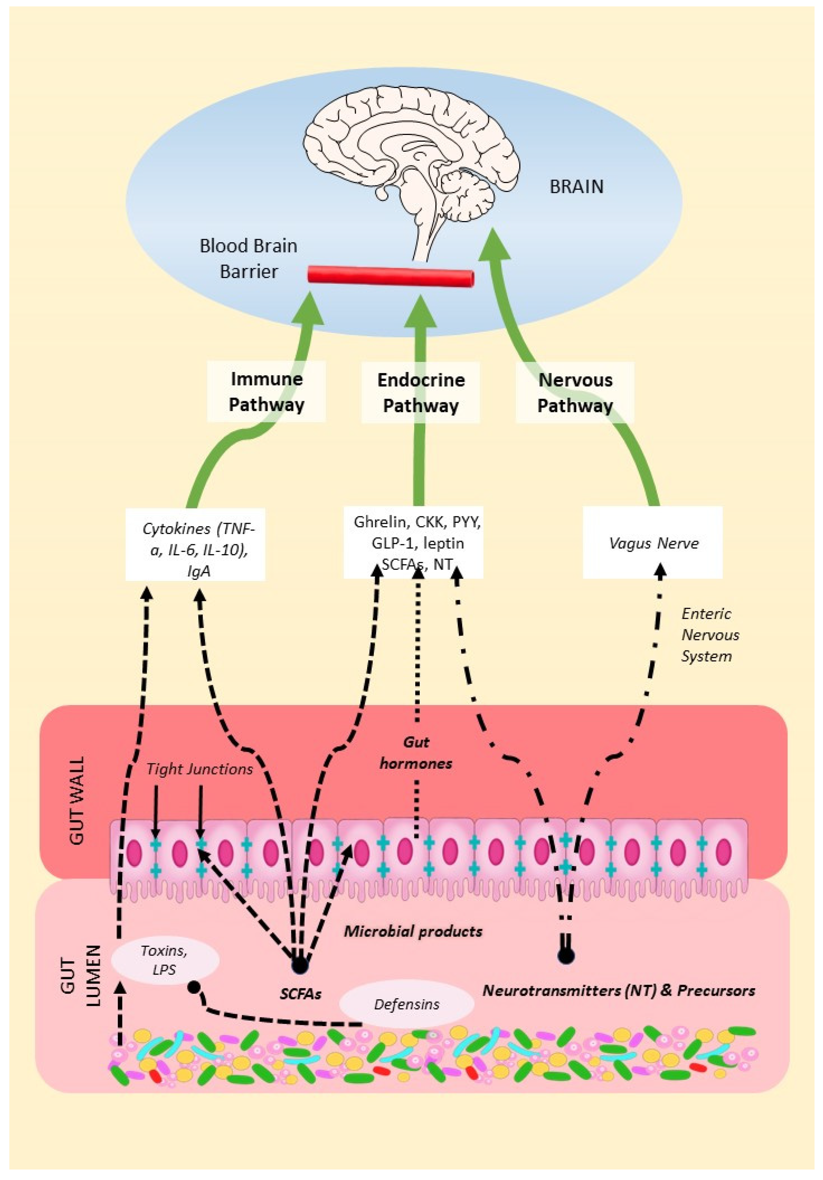 Preprints 75775 g001