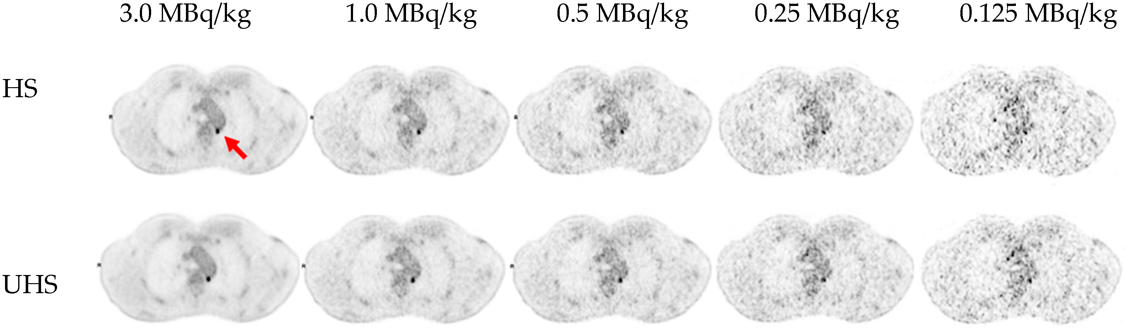 Preprints 86702 g003