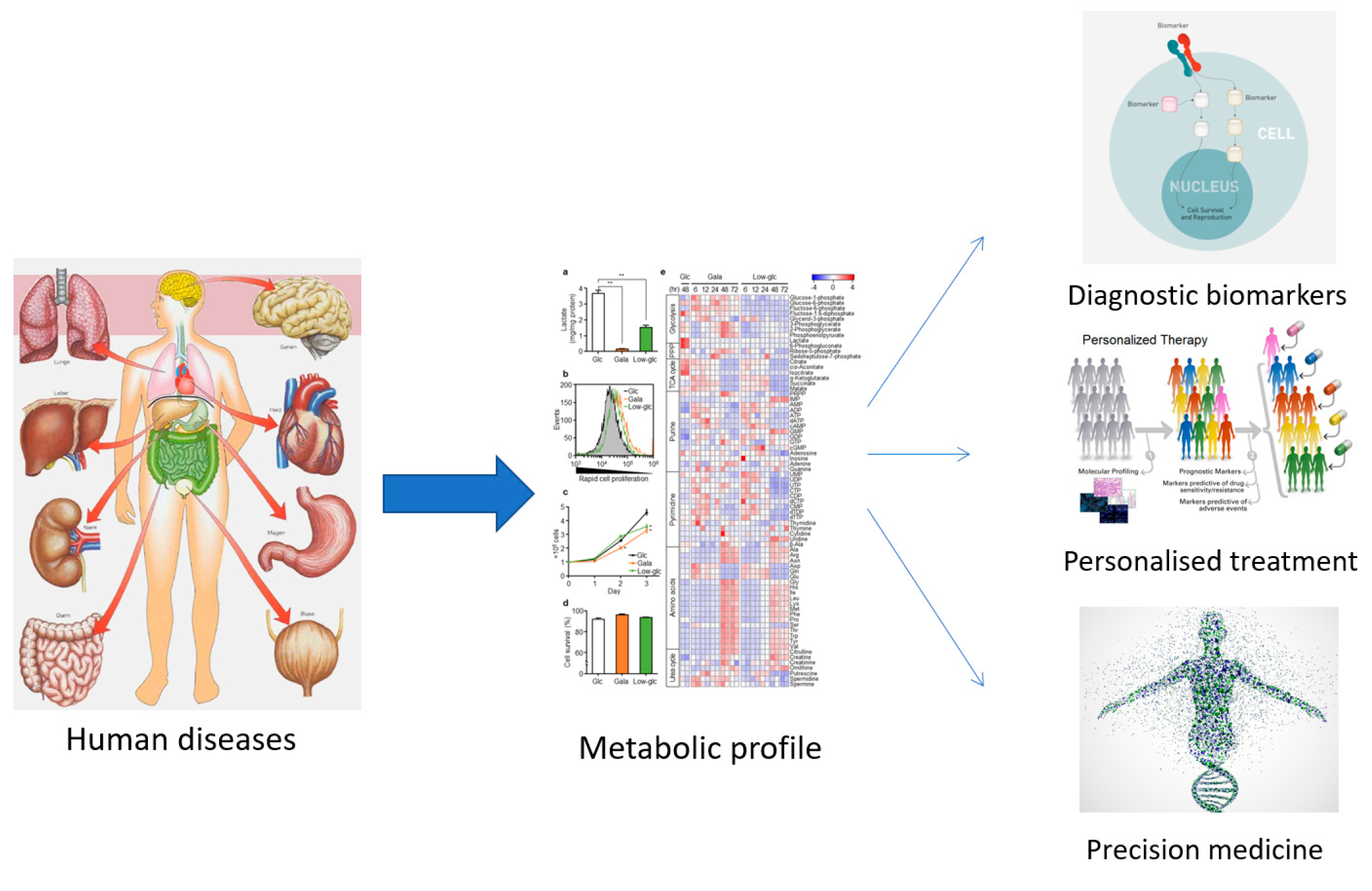 Preprints 76830 g001