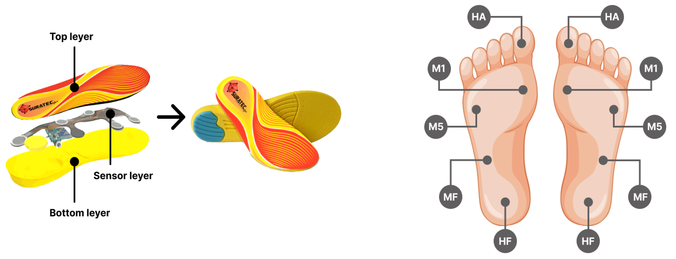 Preprints 121501 g001