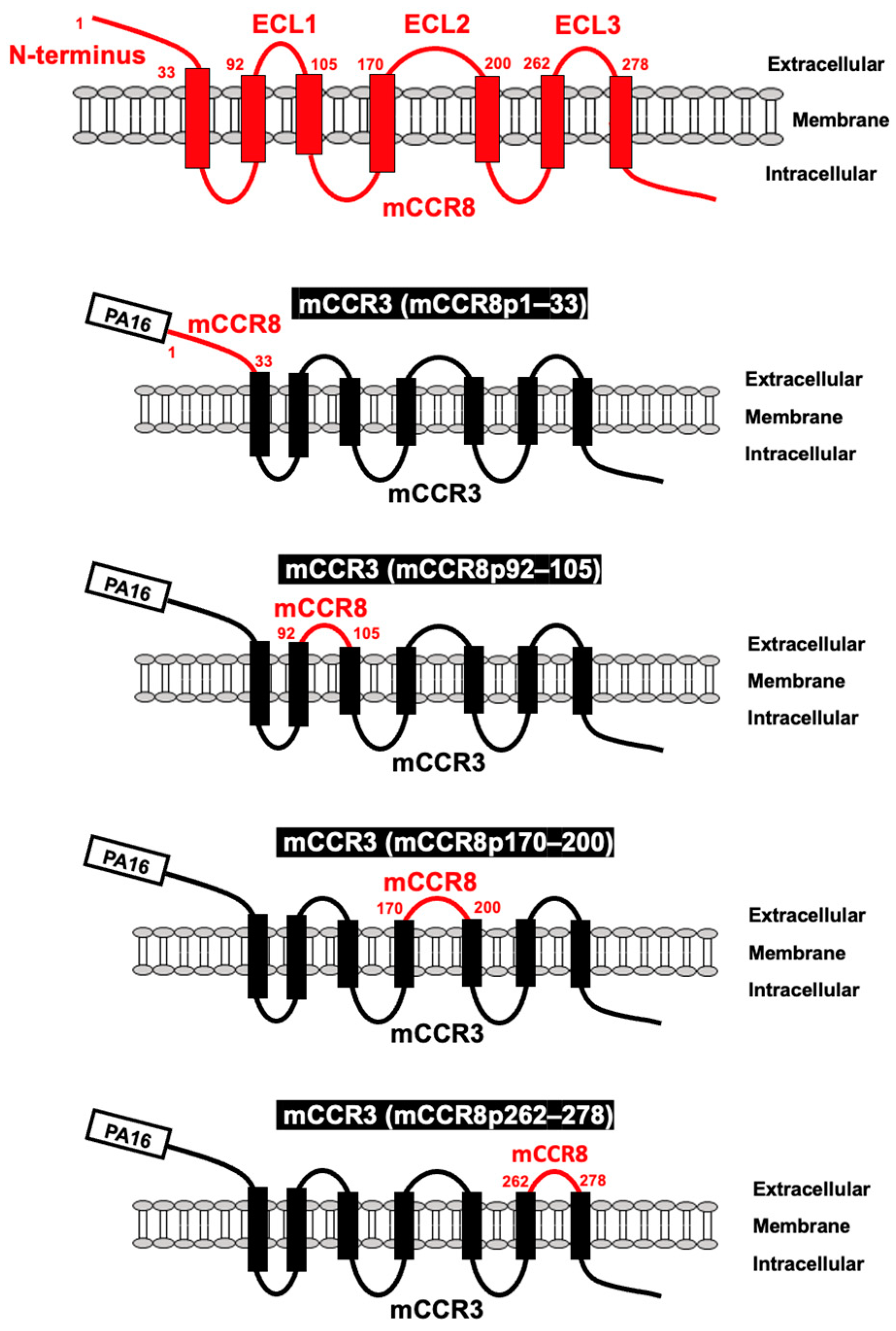 Preprints 97296 g001