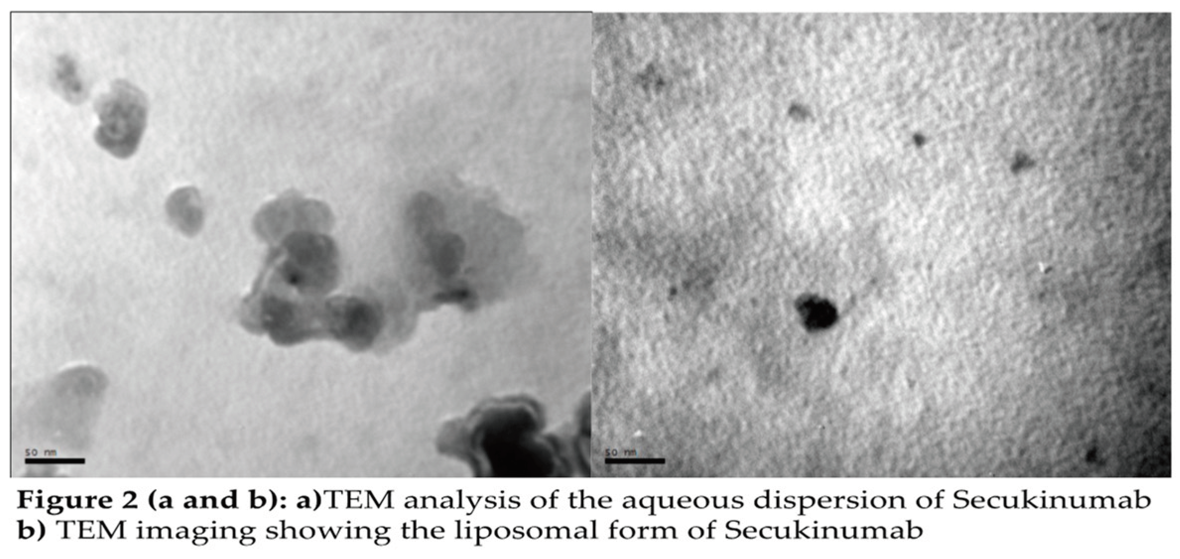 Preprints 100814 g002