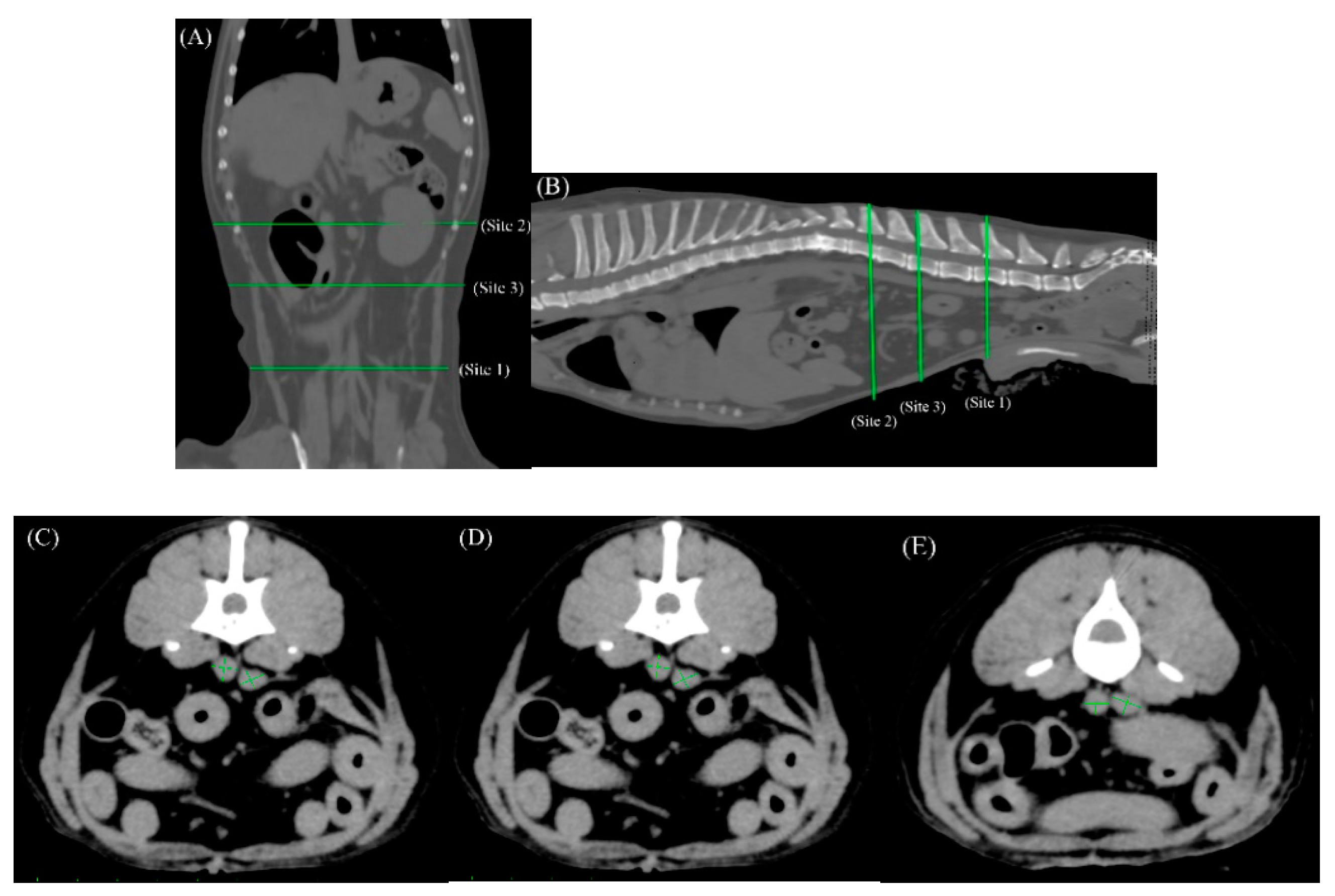 Preprints 138152 g001