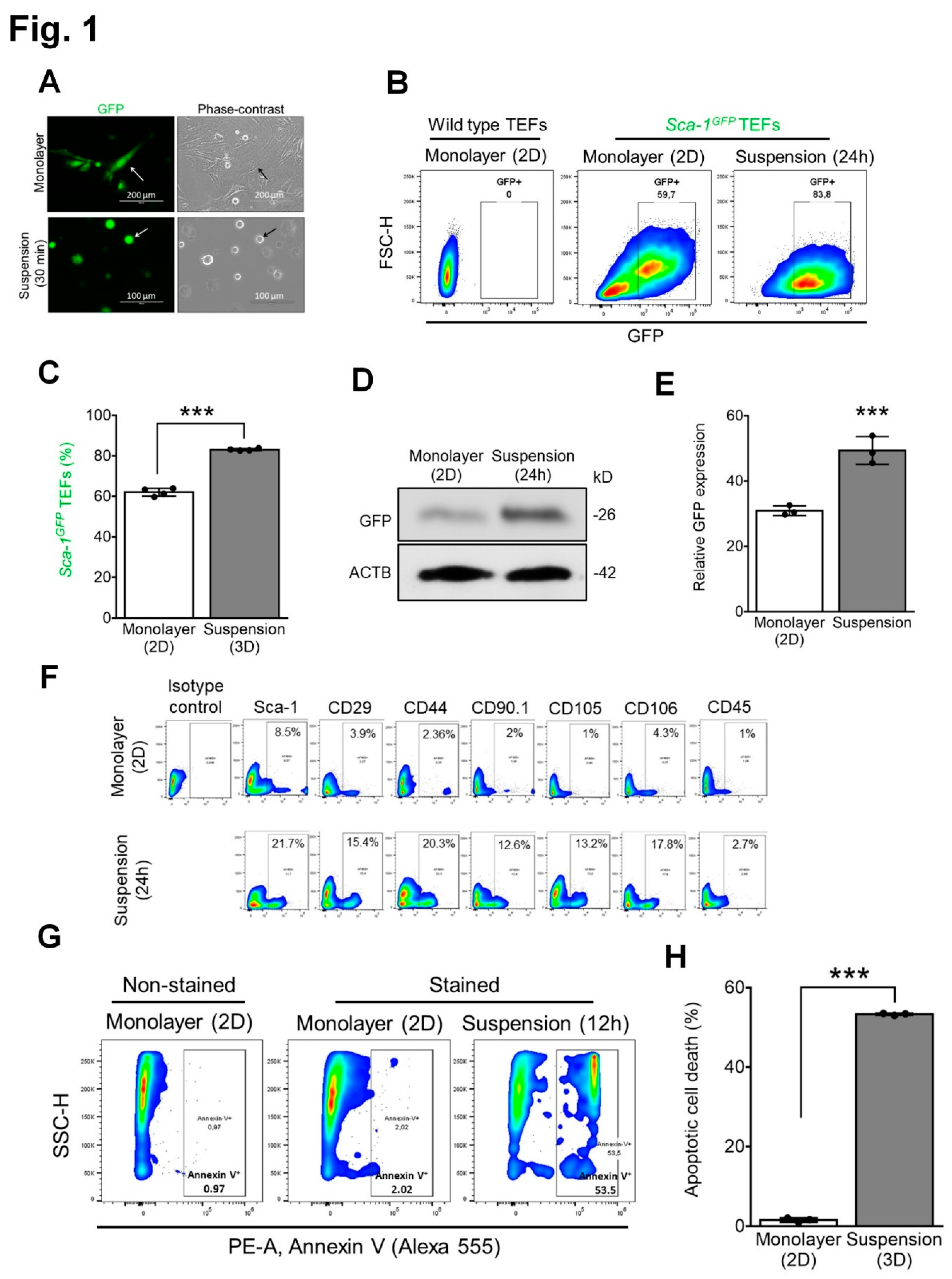 Preprints 85321 g001