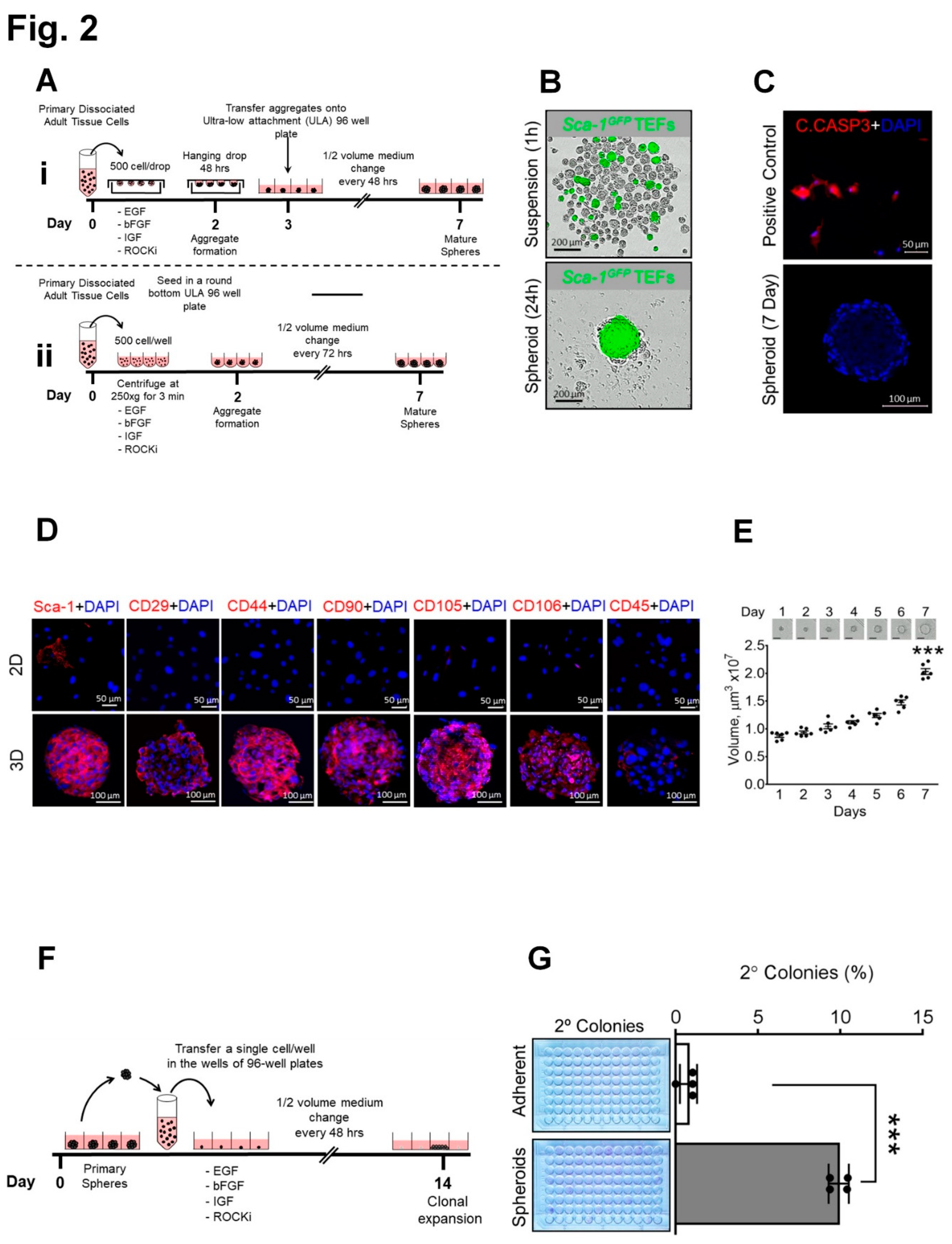 Preprints 85321 g002