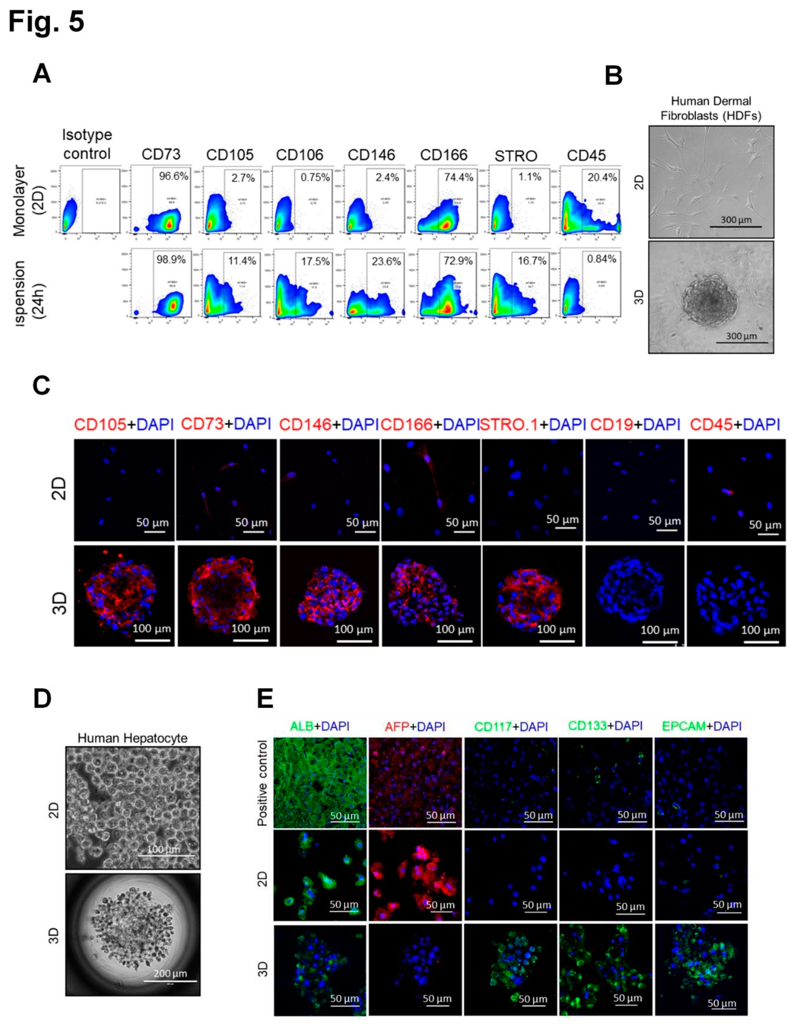 Preprints 85321 g005