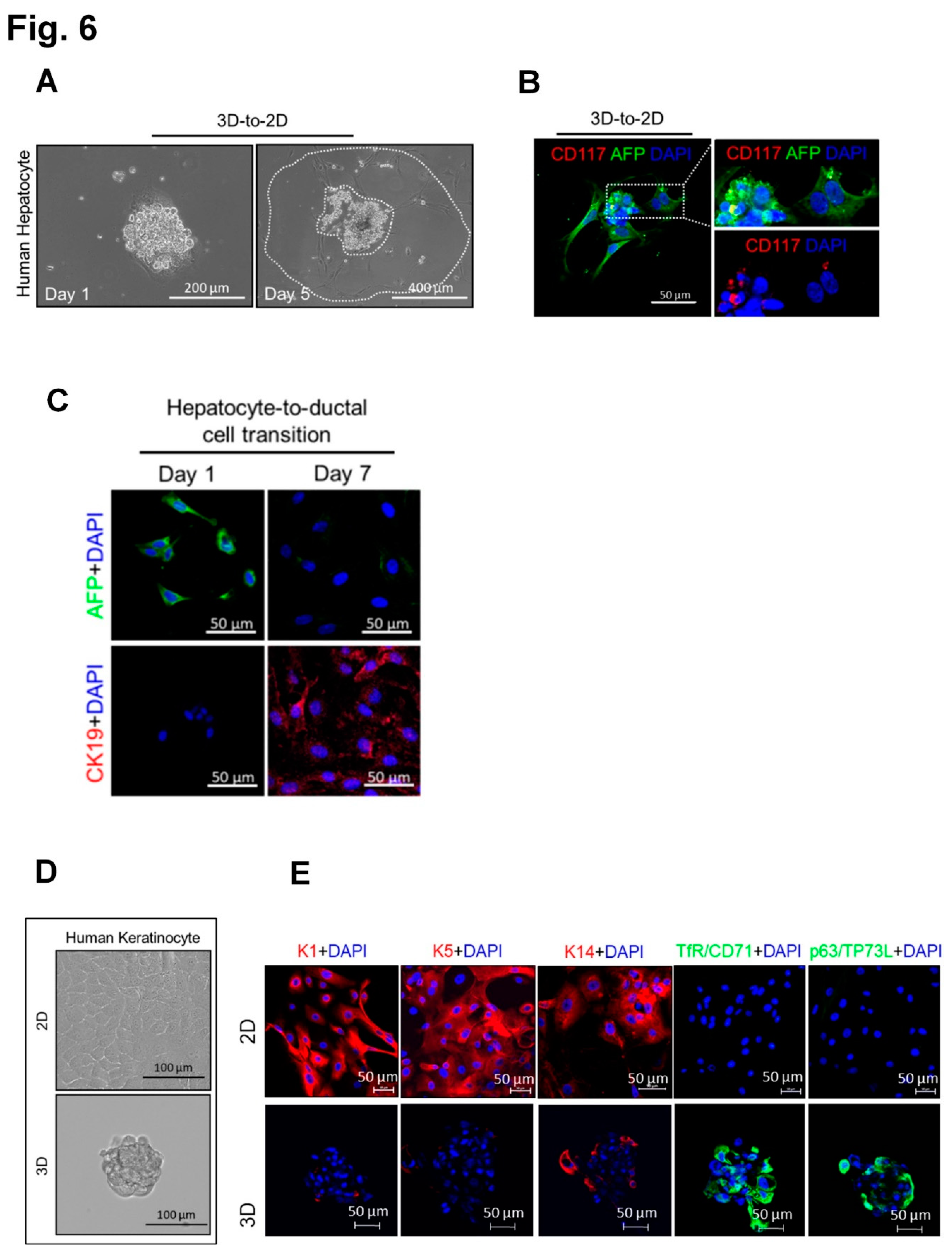 Preprints 85321 g006