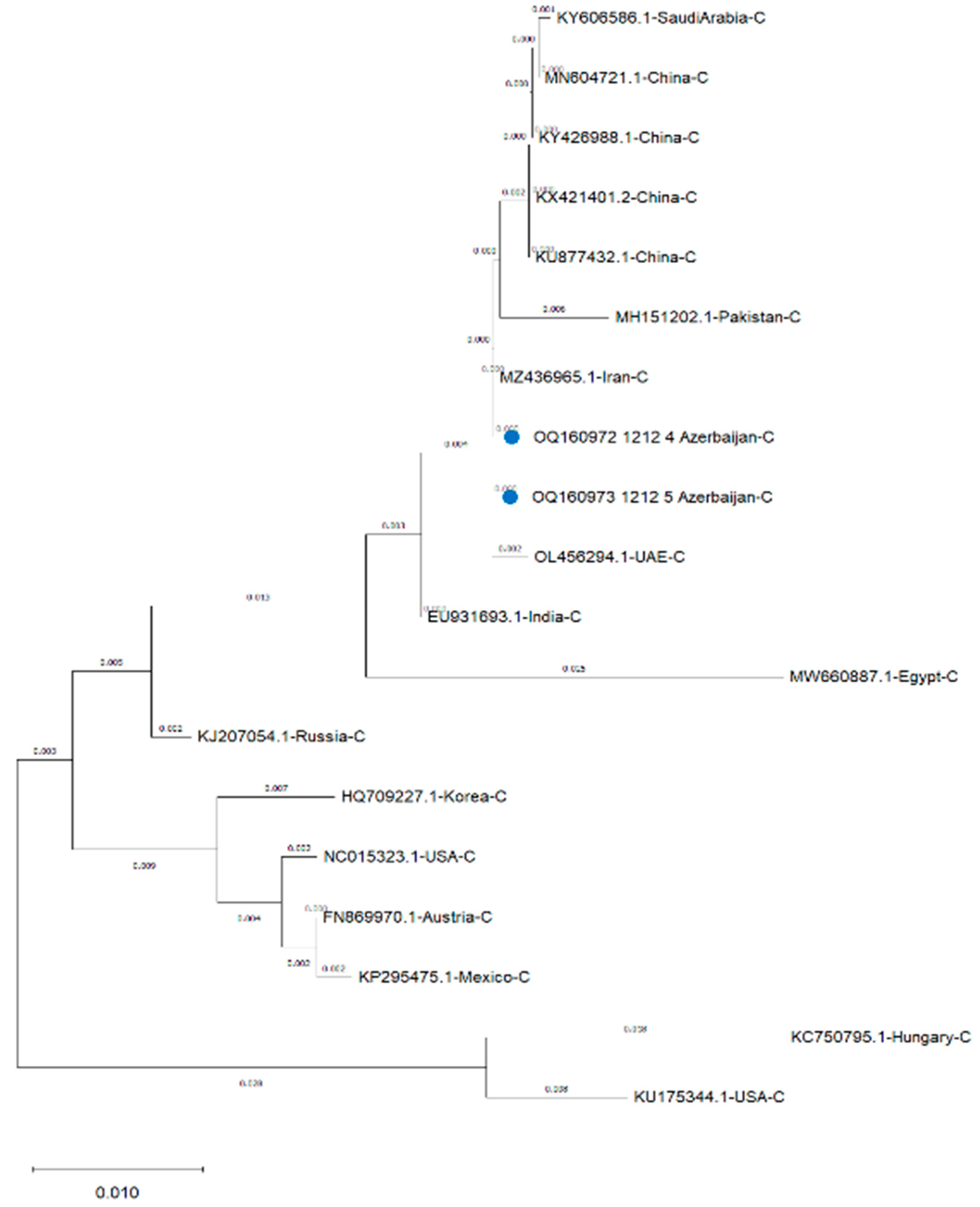 Preprints 70845 g003