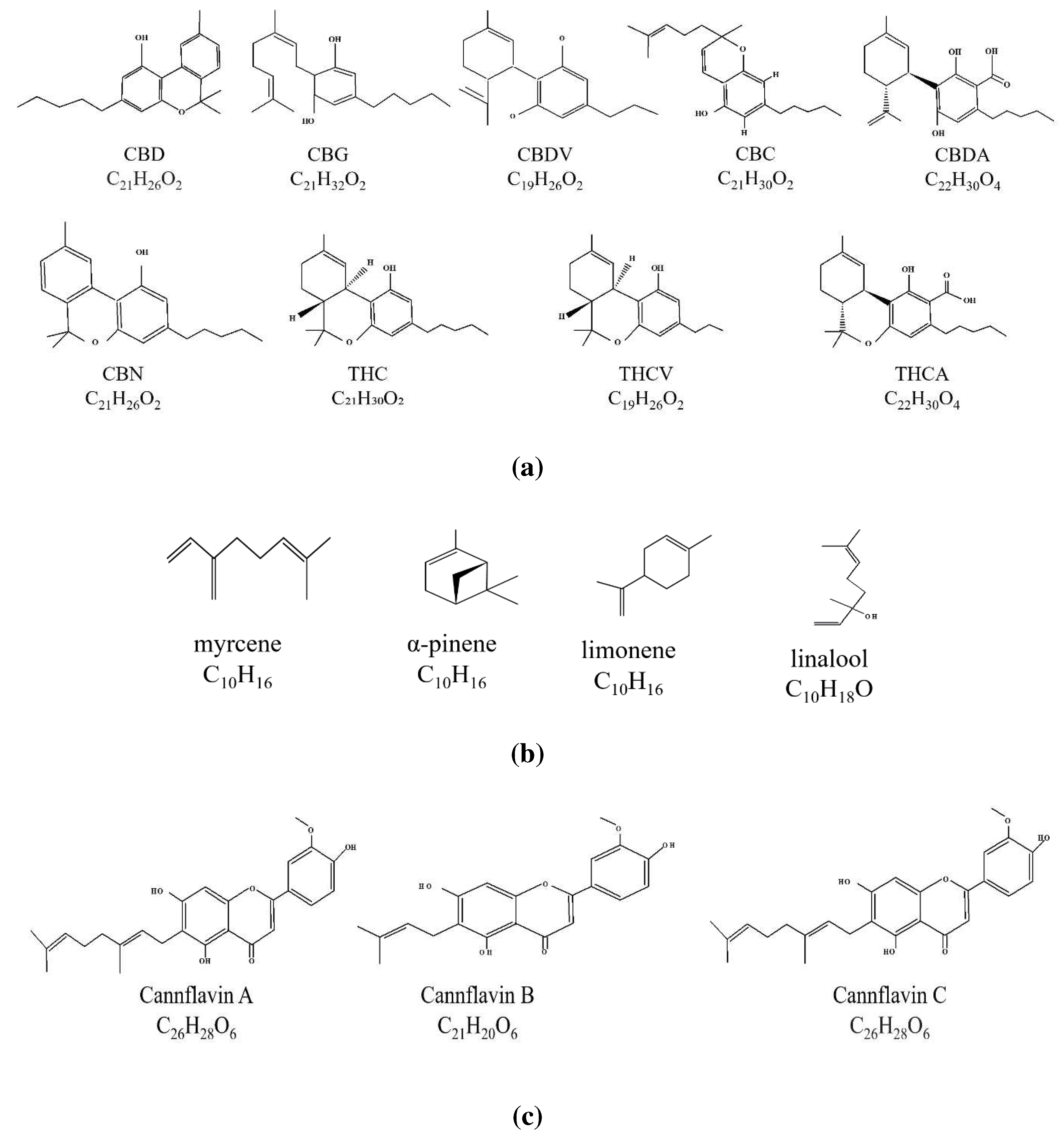 Preprints 93062 g001