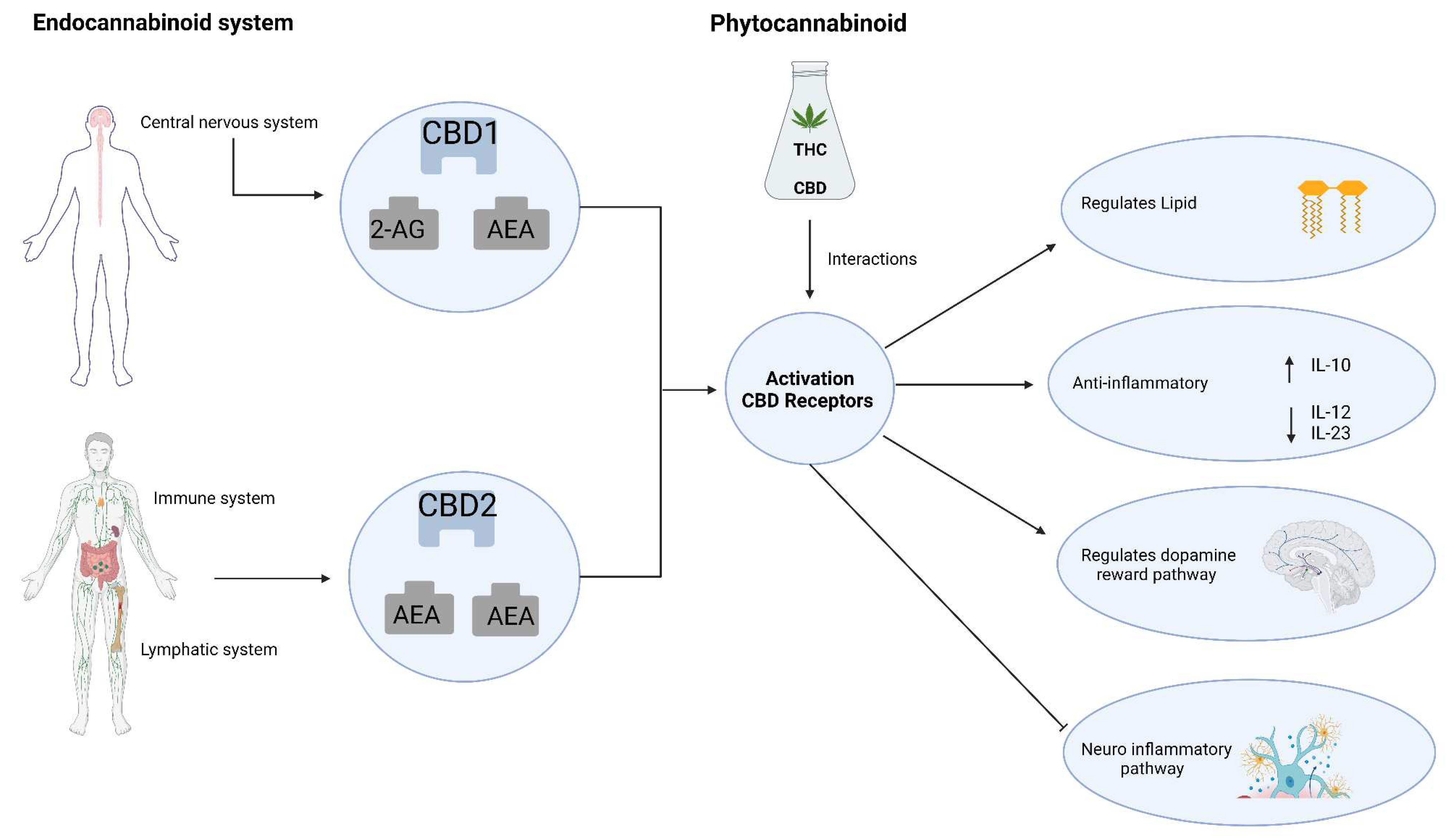 Preprints 93062 g002