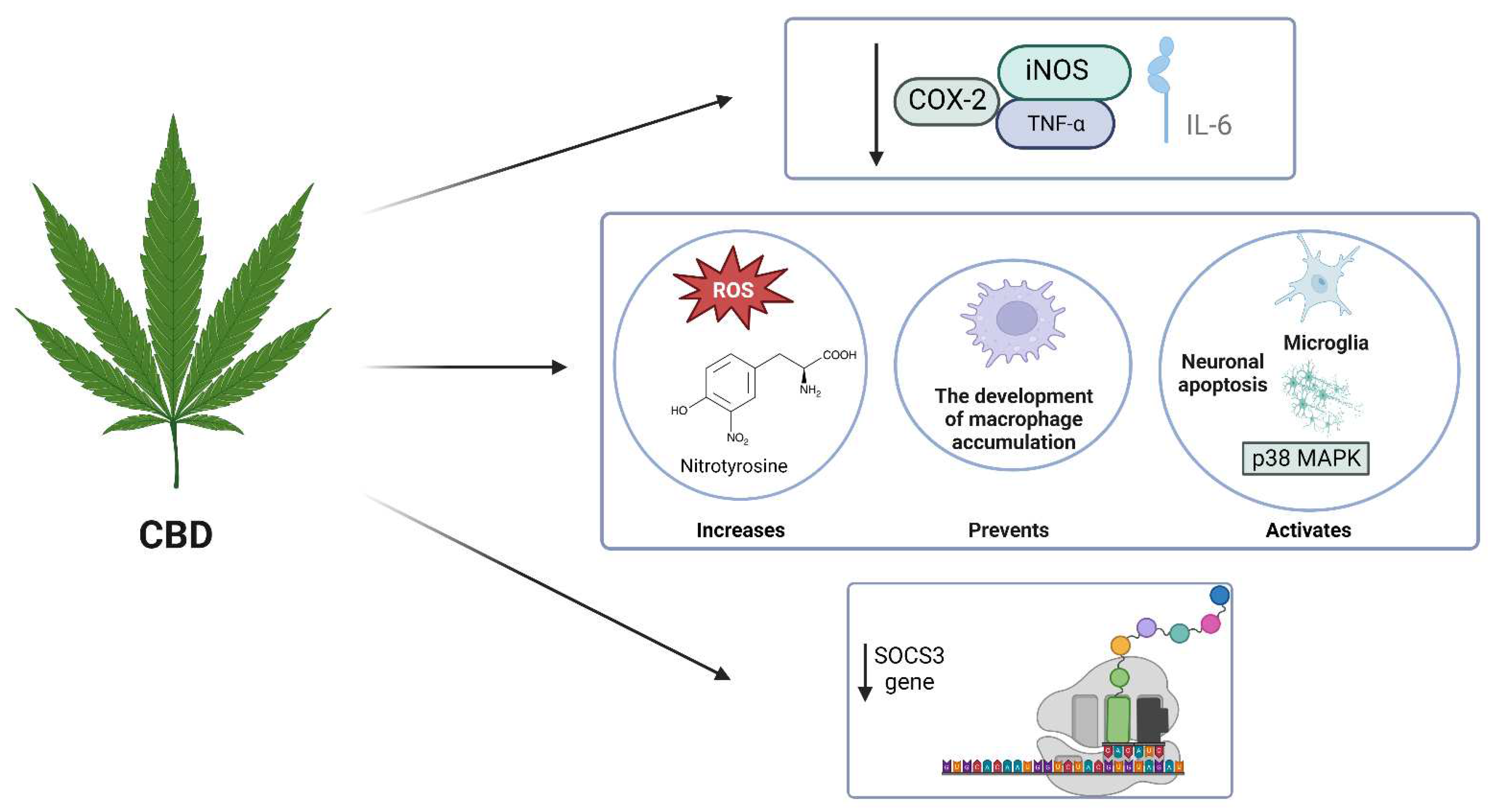 Preprints 93062 g003