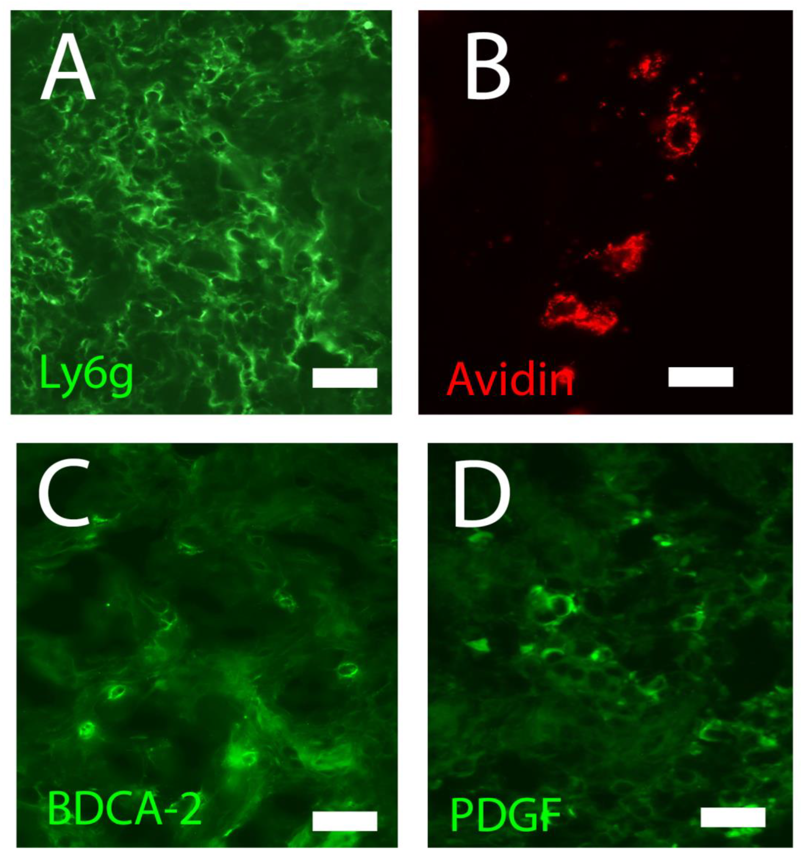 Preprints 73078 g002