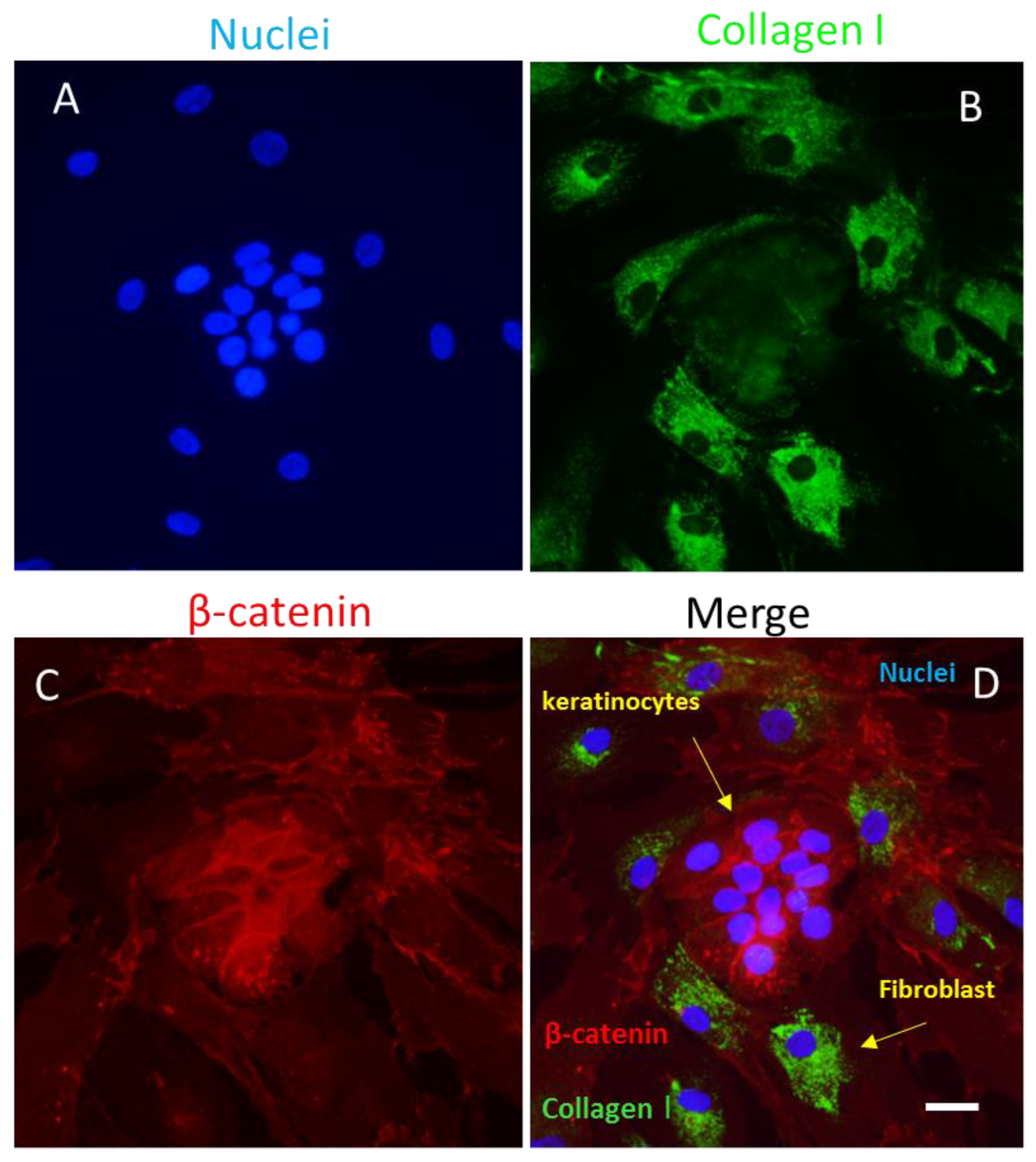 Preprints 73078 g003