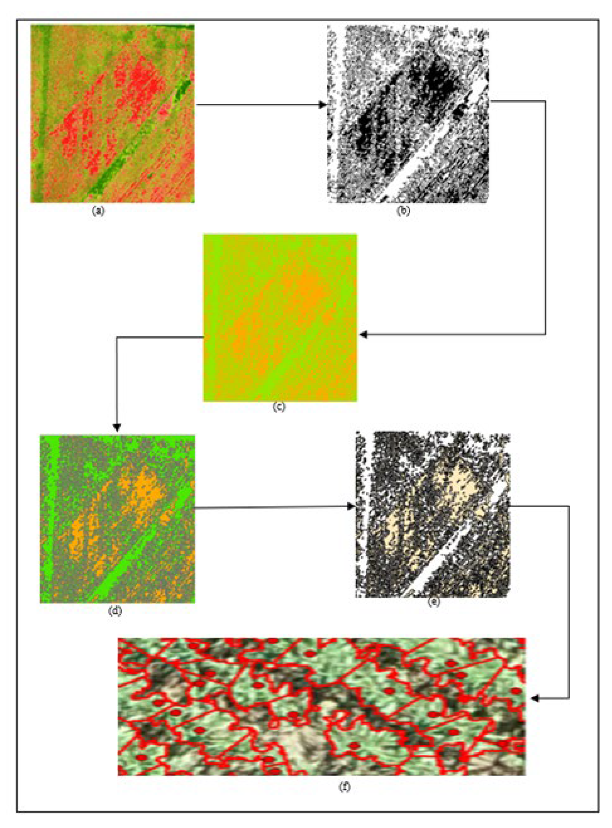 Preprints 103993 g010