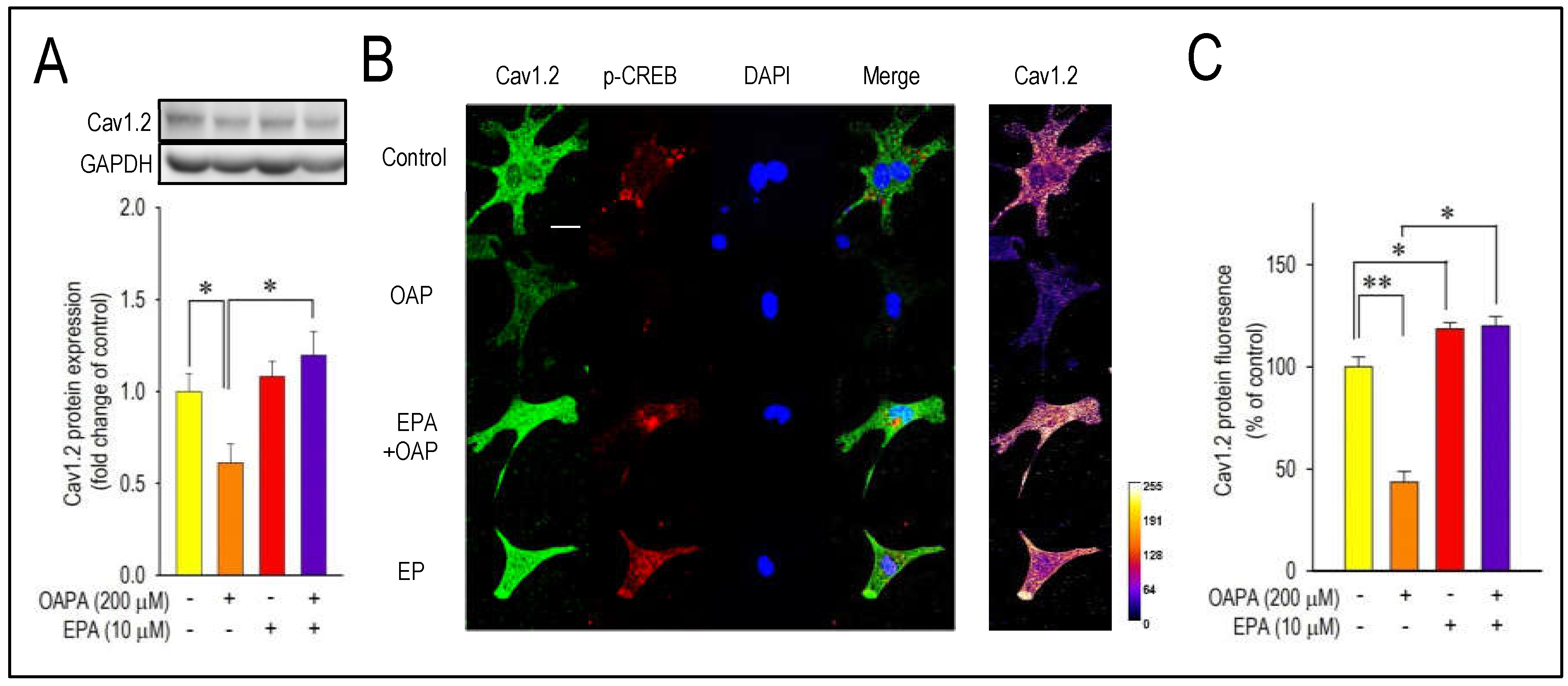 Preprints 105231 g003