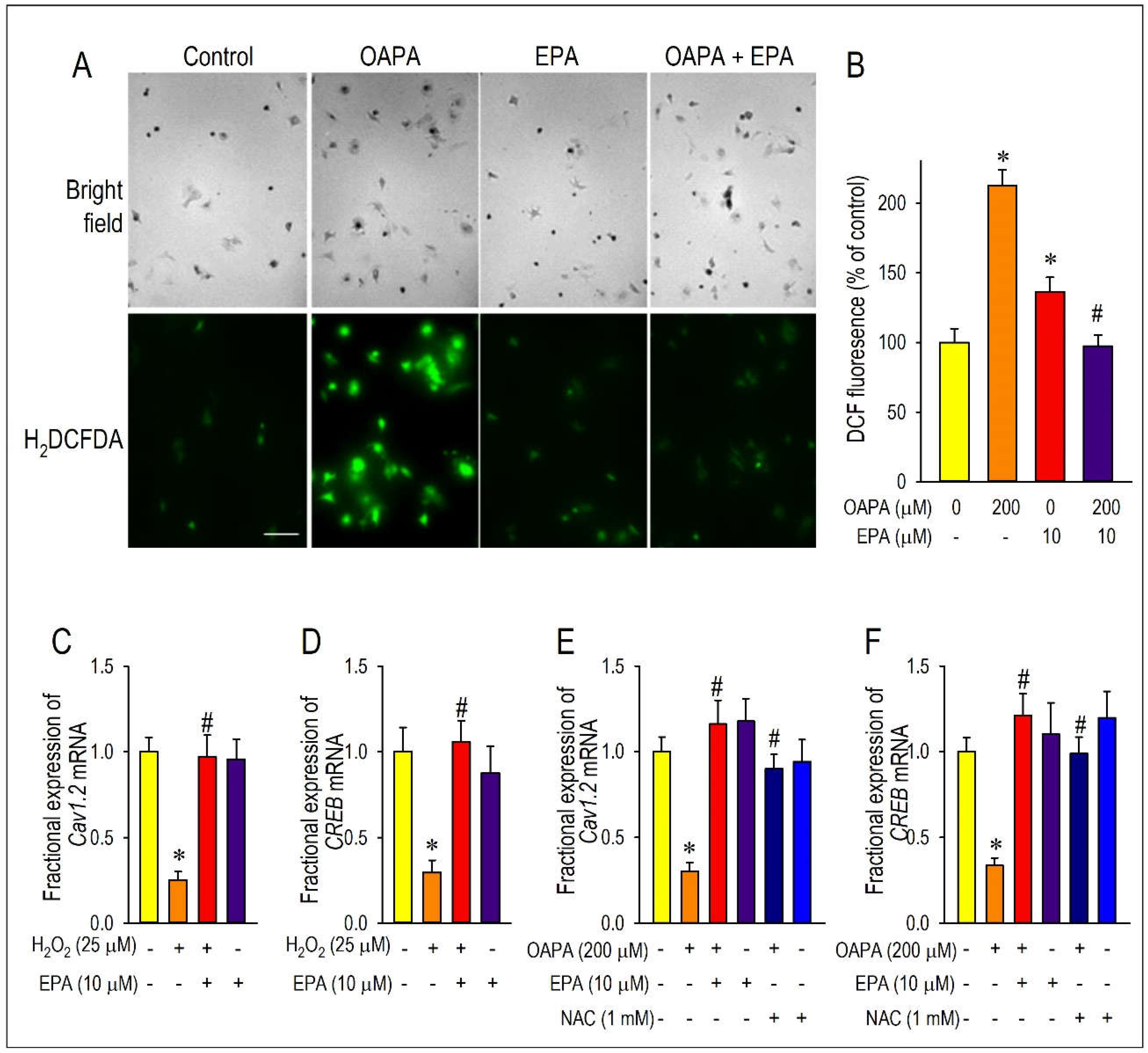 Preprints 105231 g007