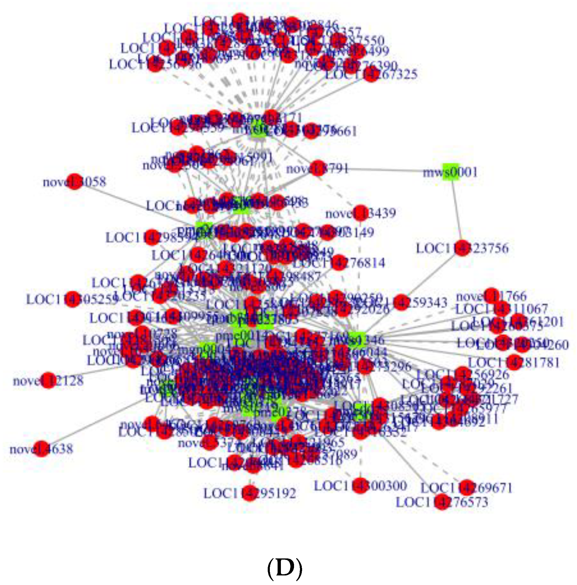 Preprints 113390 g010c