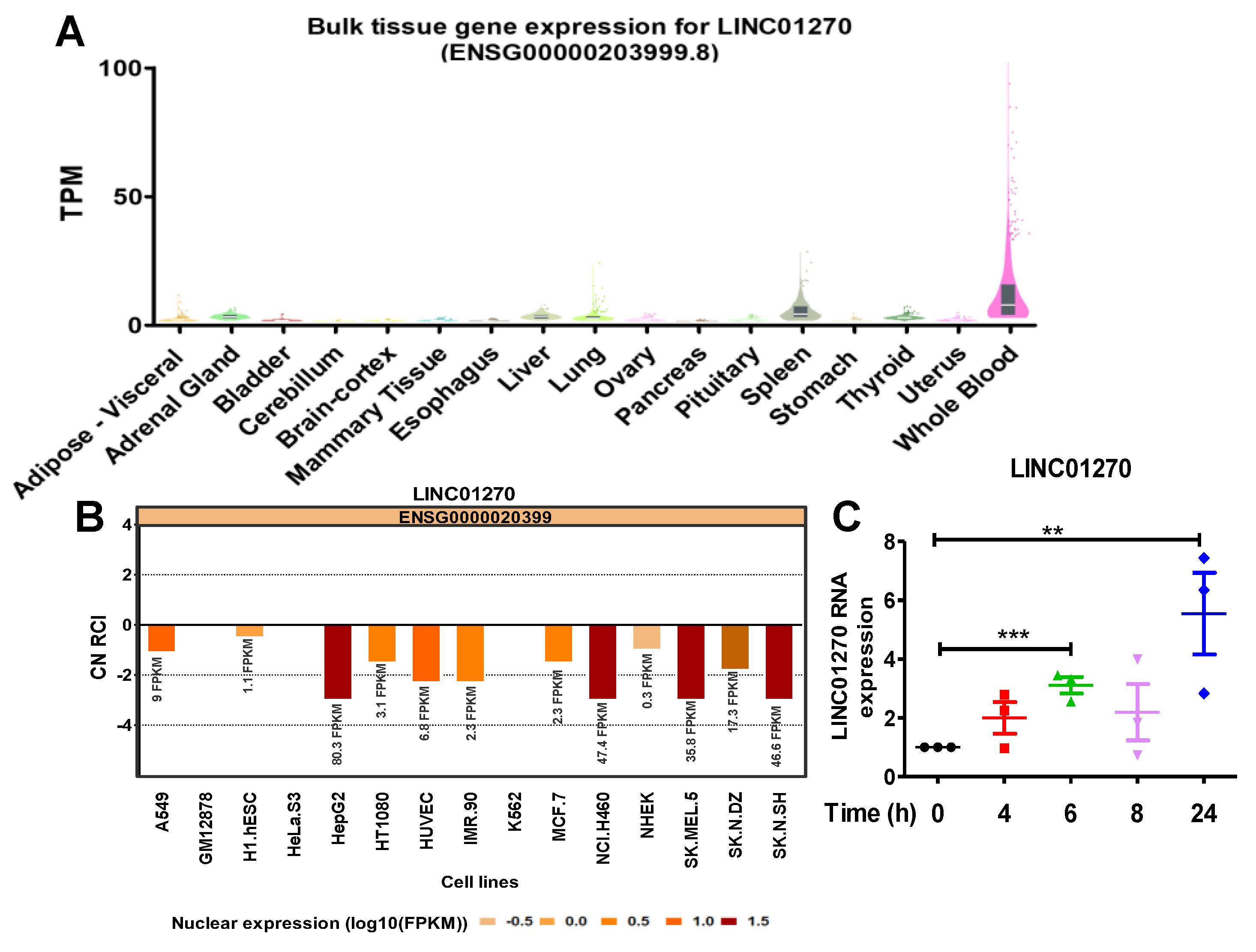 Preprints 109973 g001