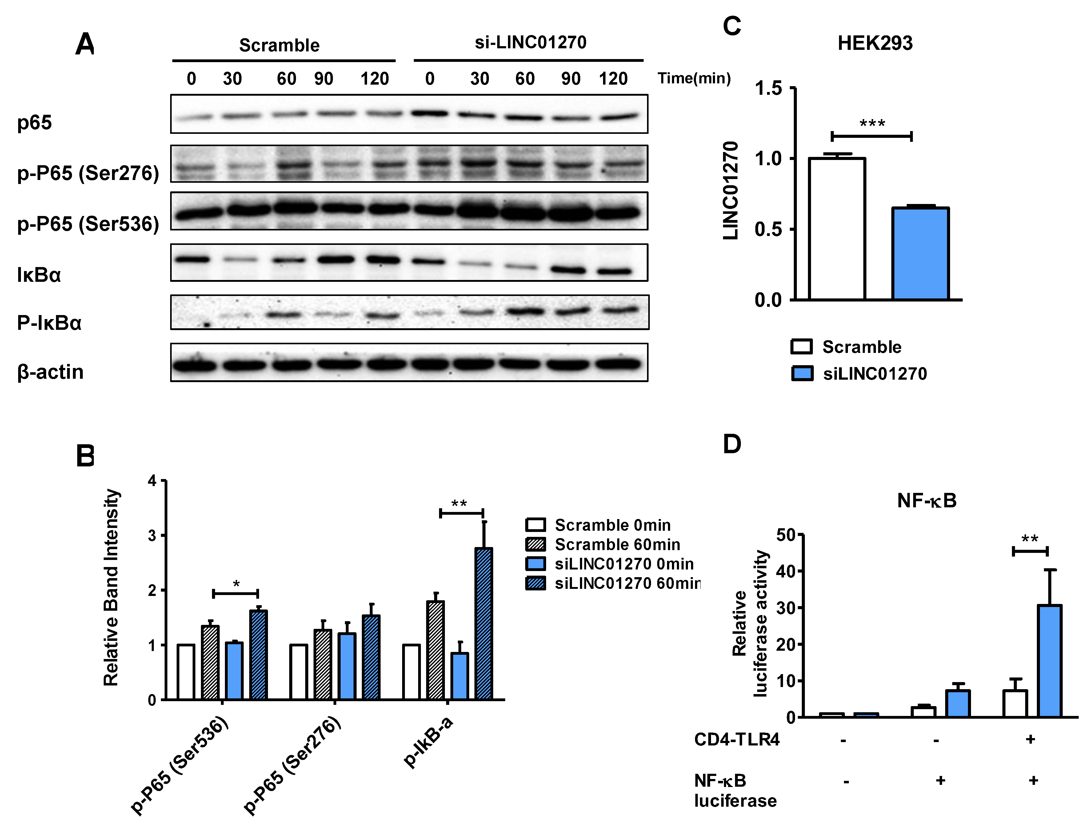 Preprints 109973 g003