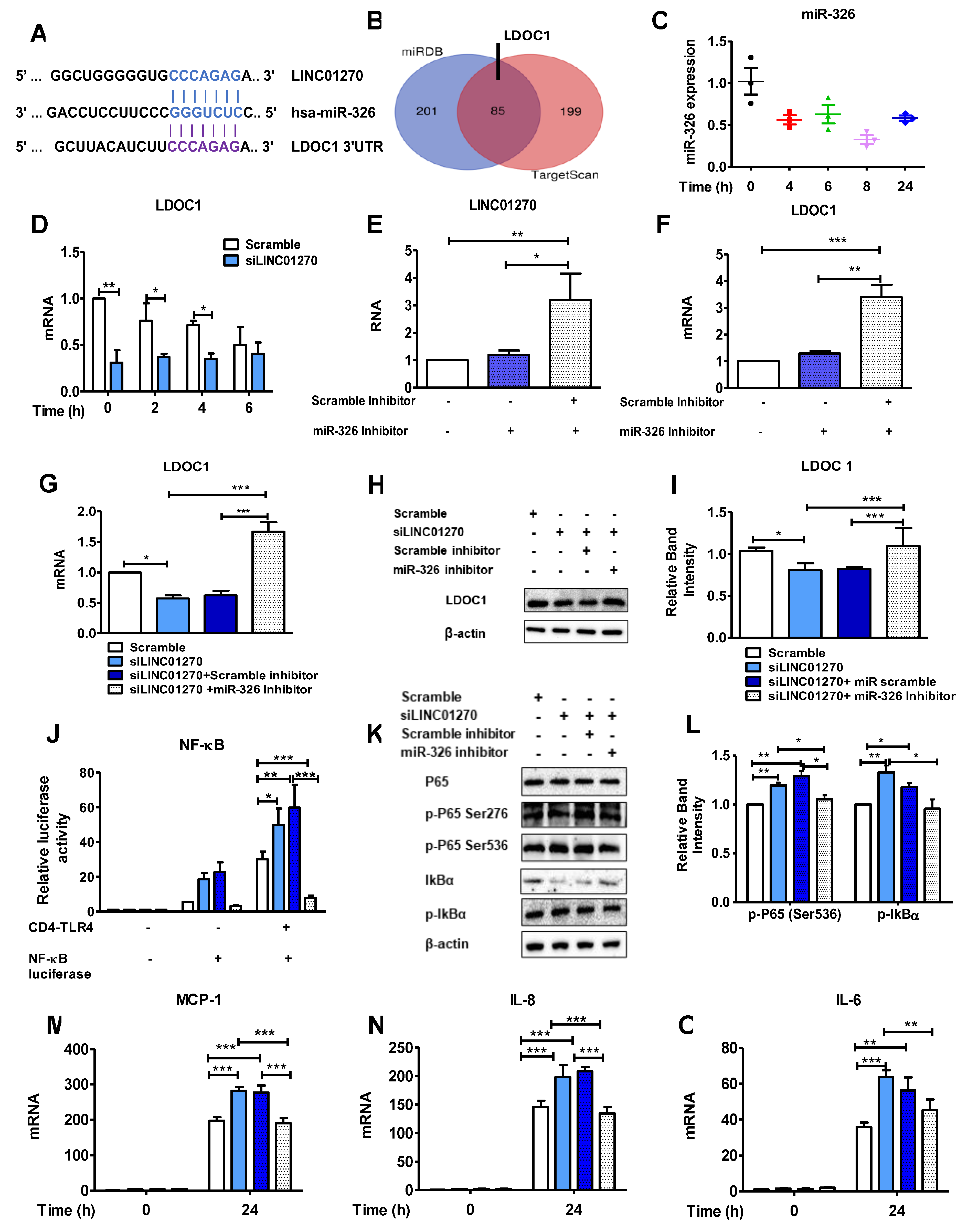 Preprints 109973 g004