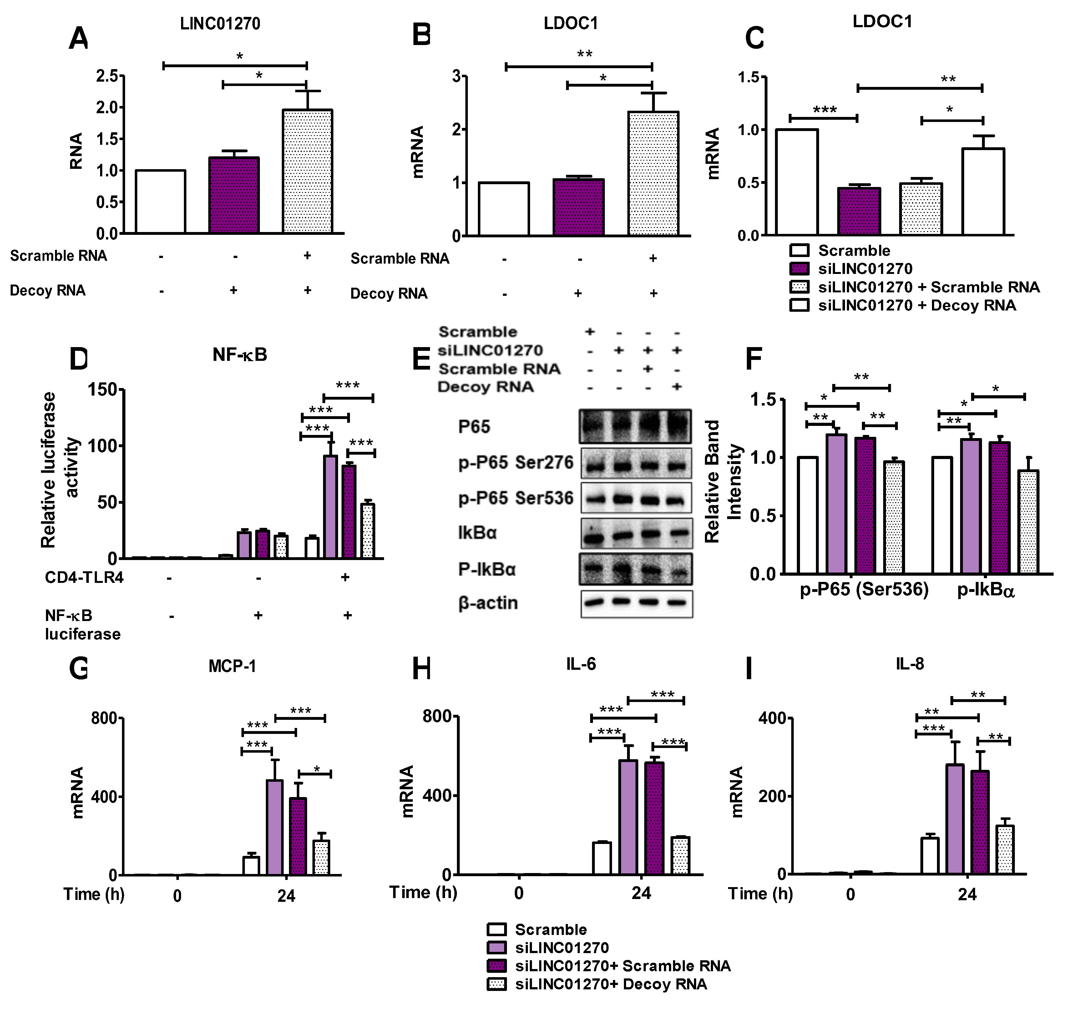 Preprints 109973 g005