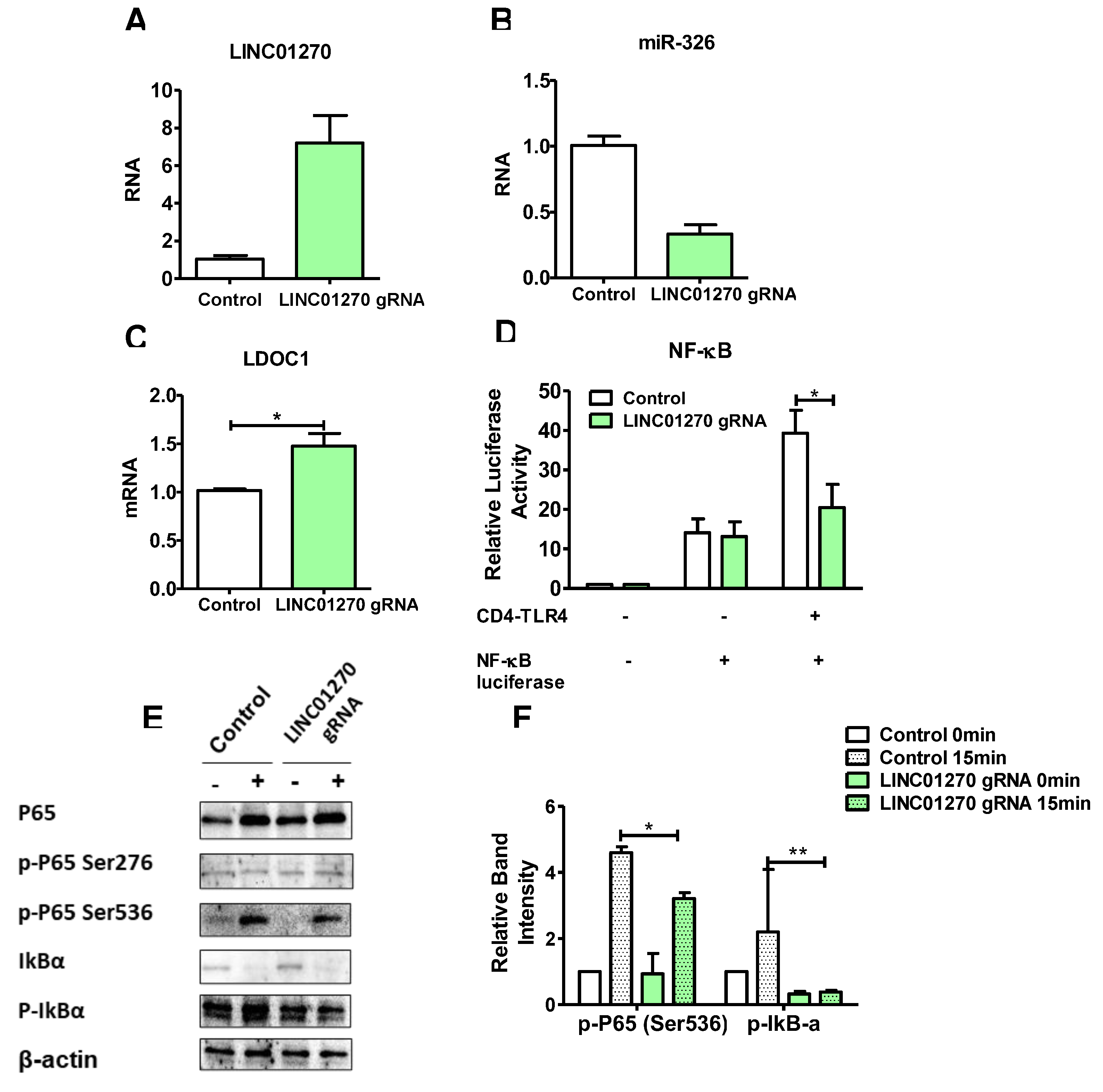 Preprints 109973 g006