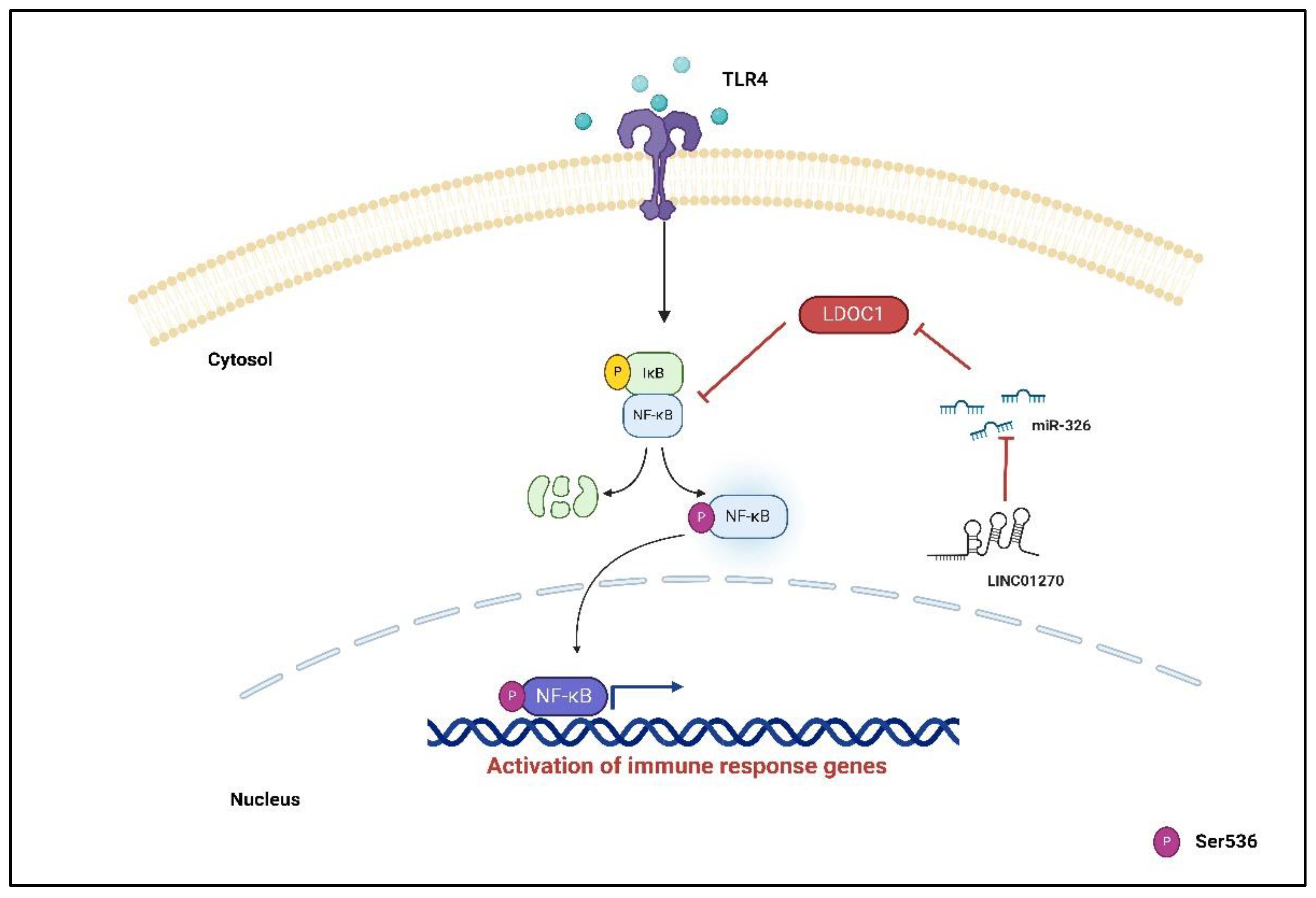 Preprints 109973 g007