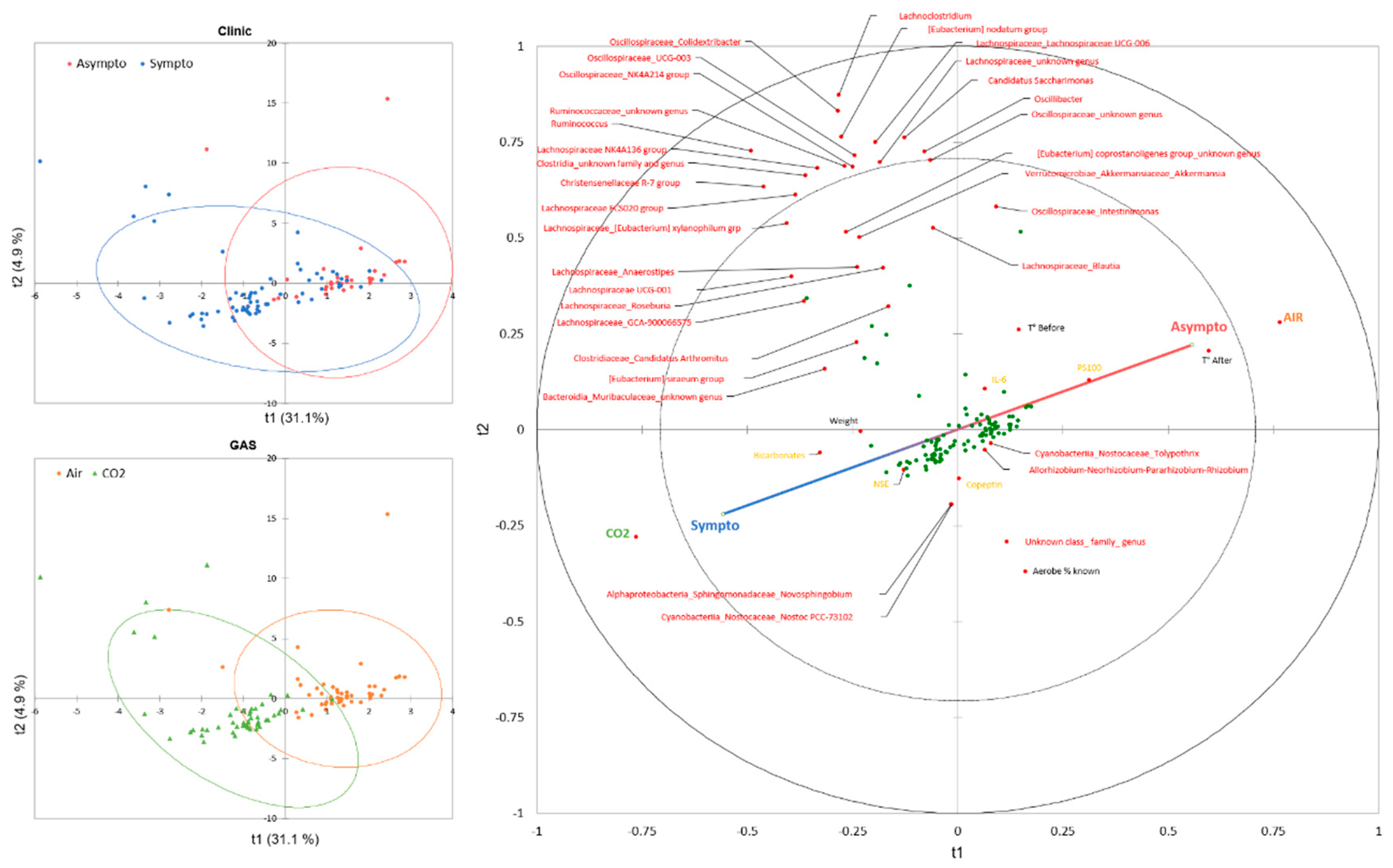 Preprints 109993 g003