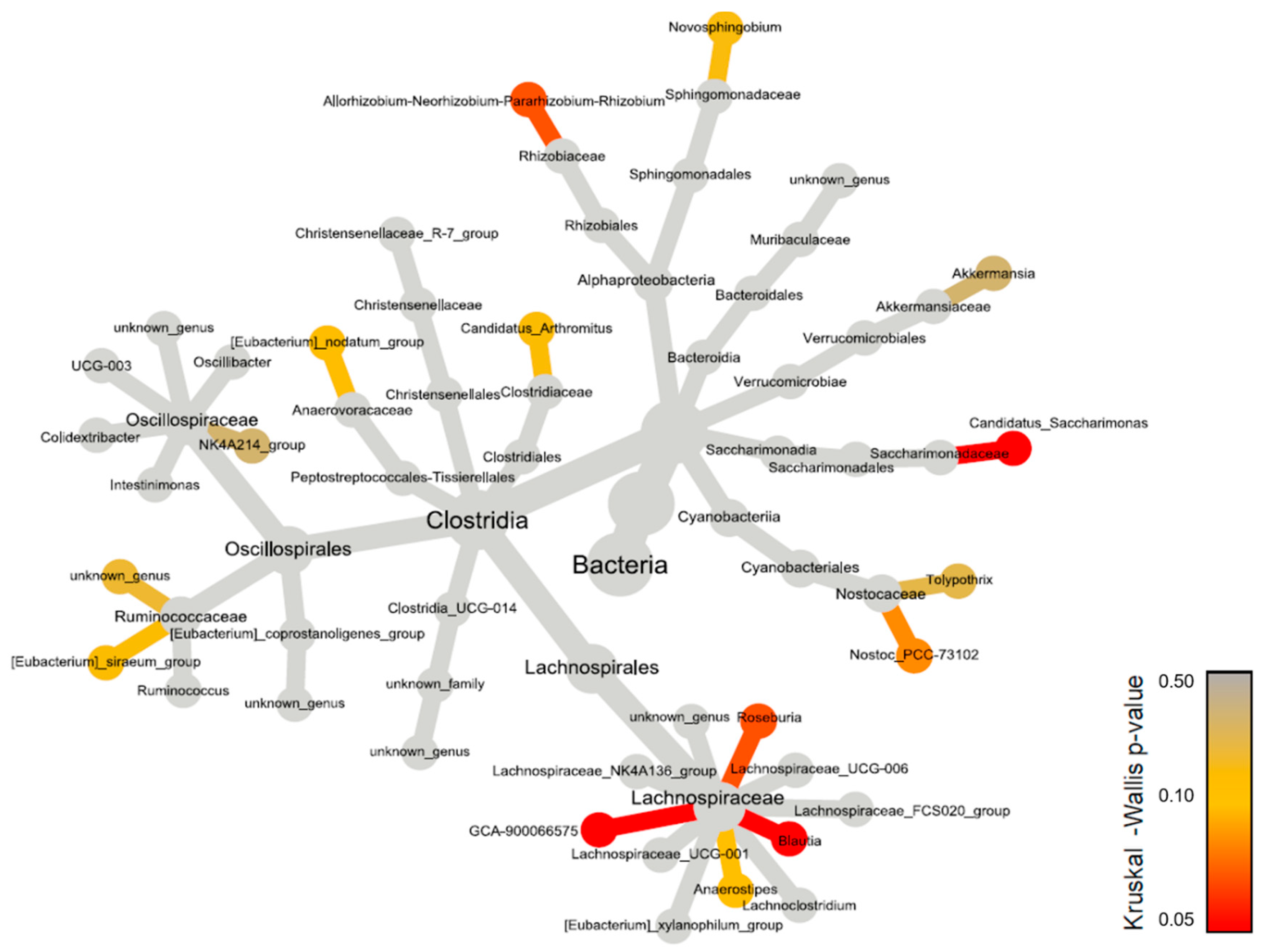 Preprints 109993 g008