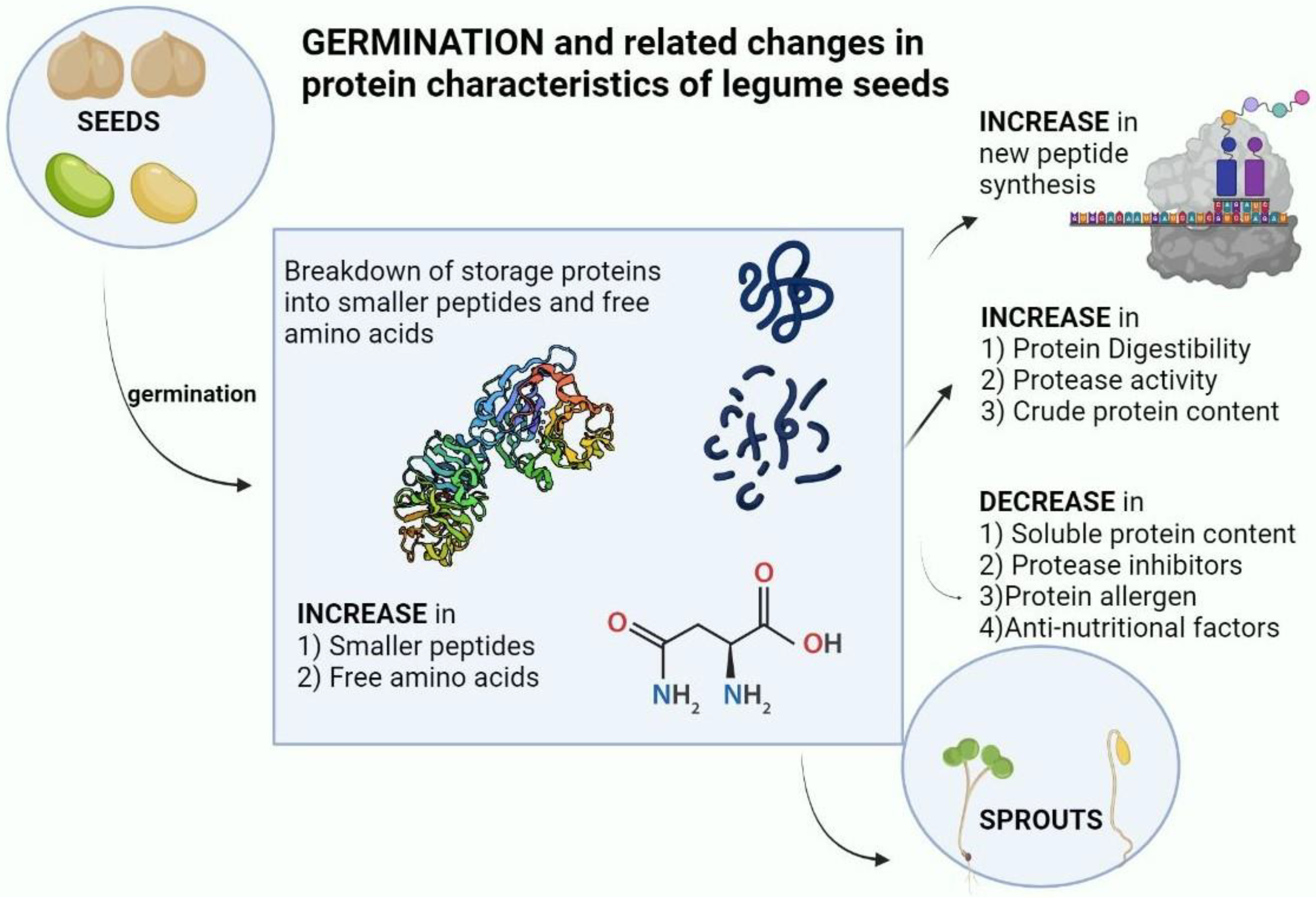 Preprints 67781 g005