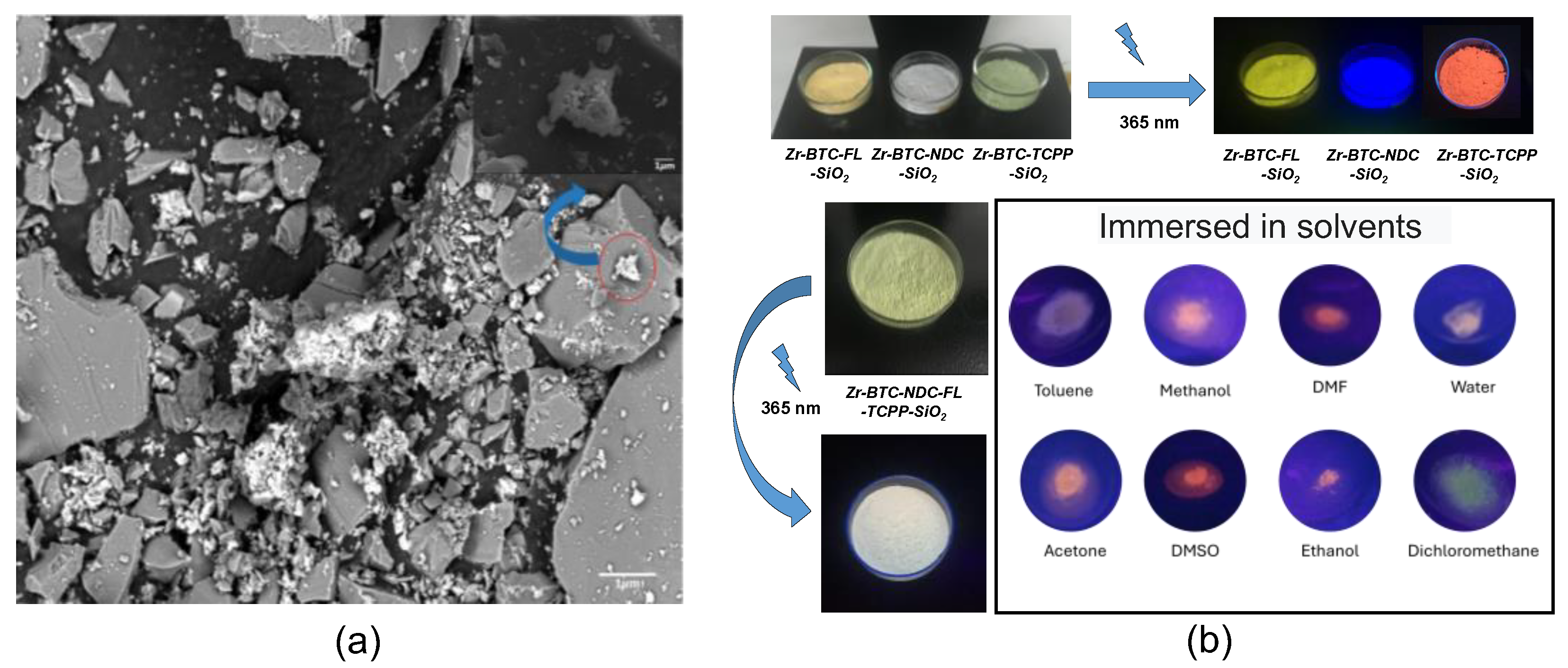 Preprints 138759 g003