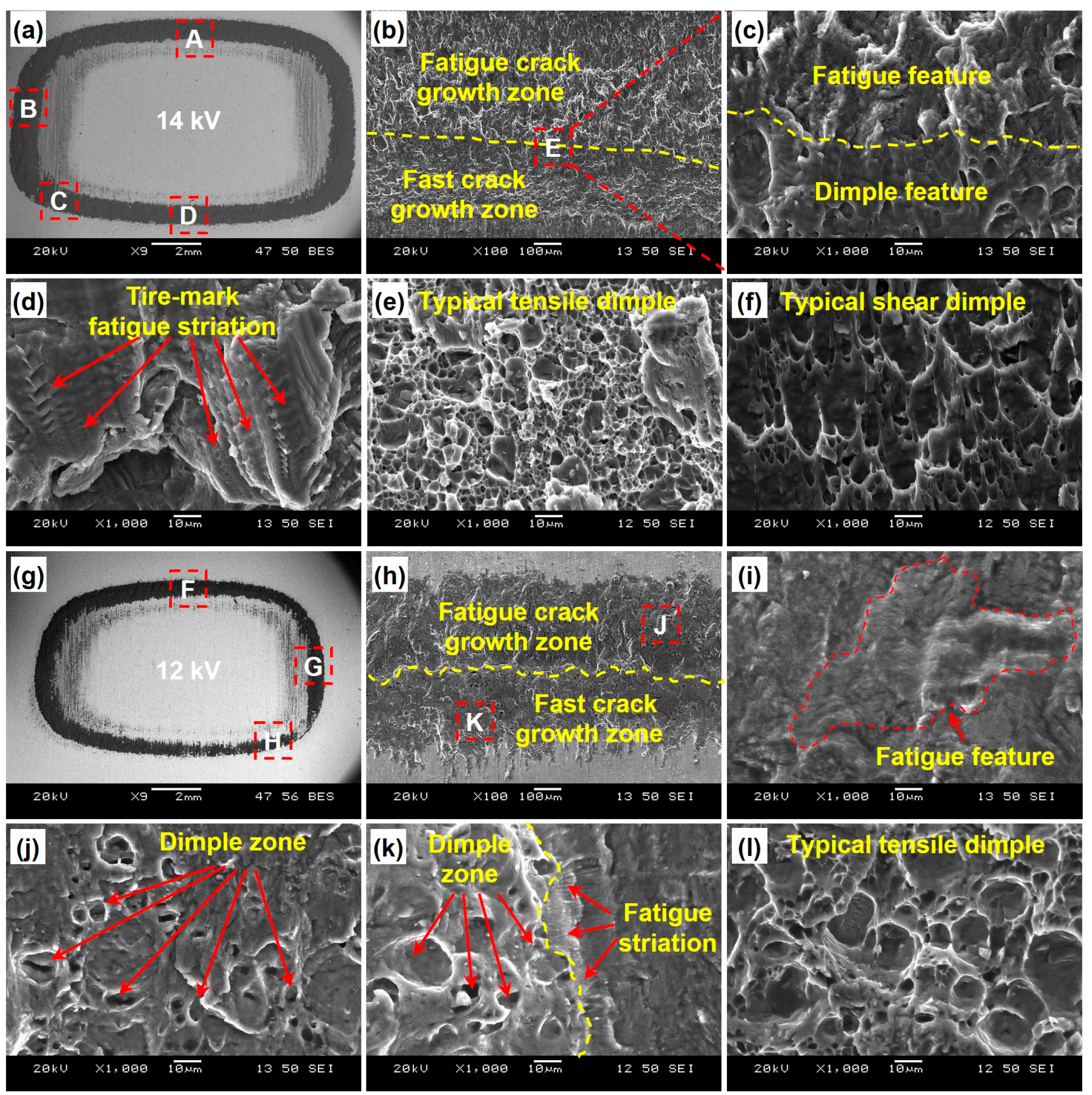 Preprints 98465 g004