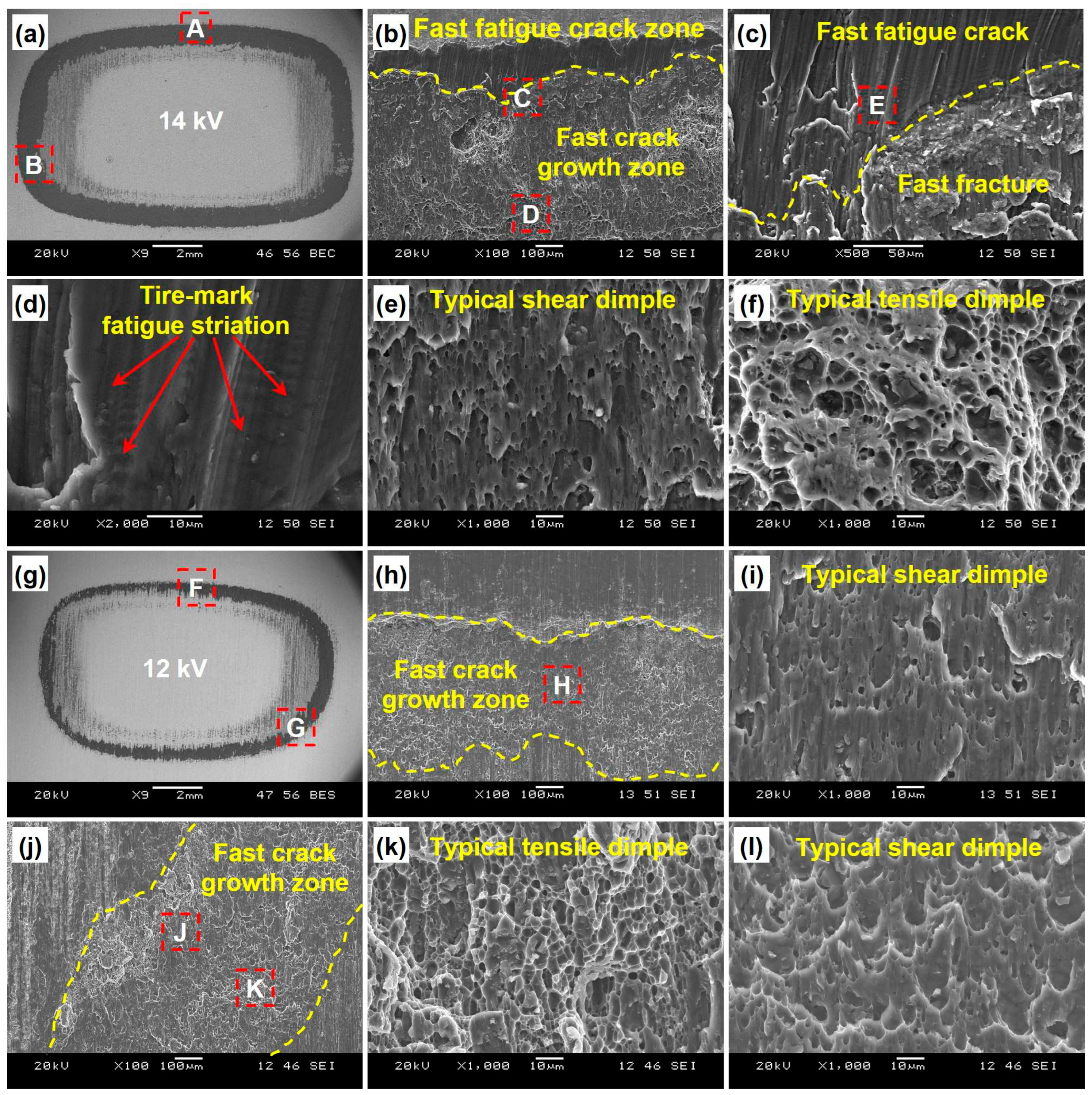 Preprints 98465 g005