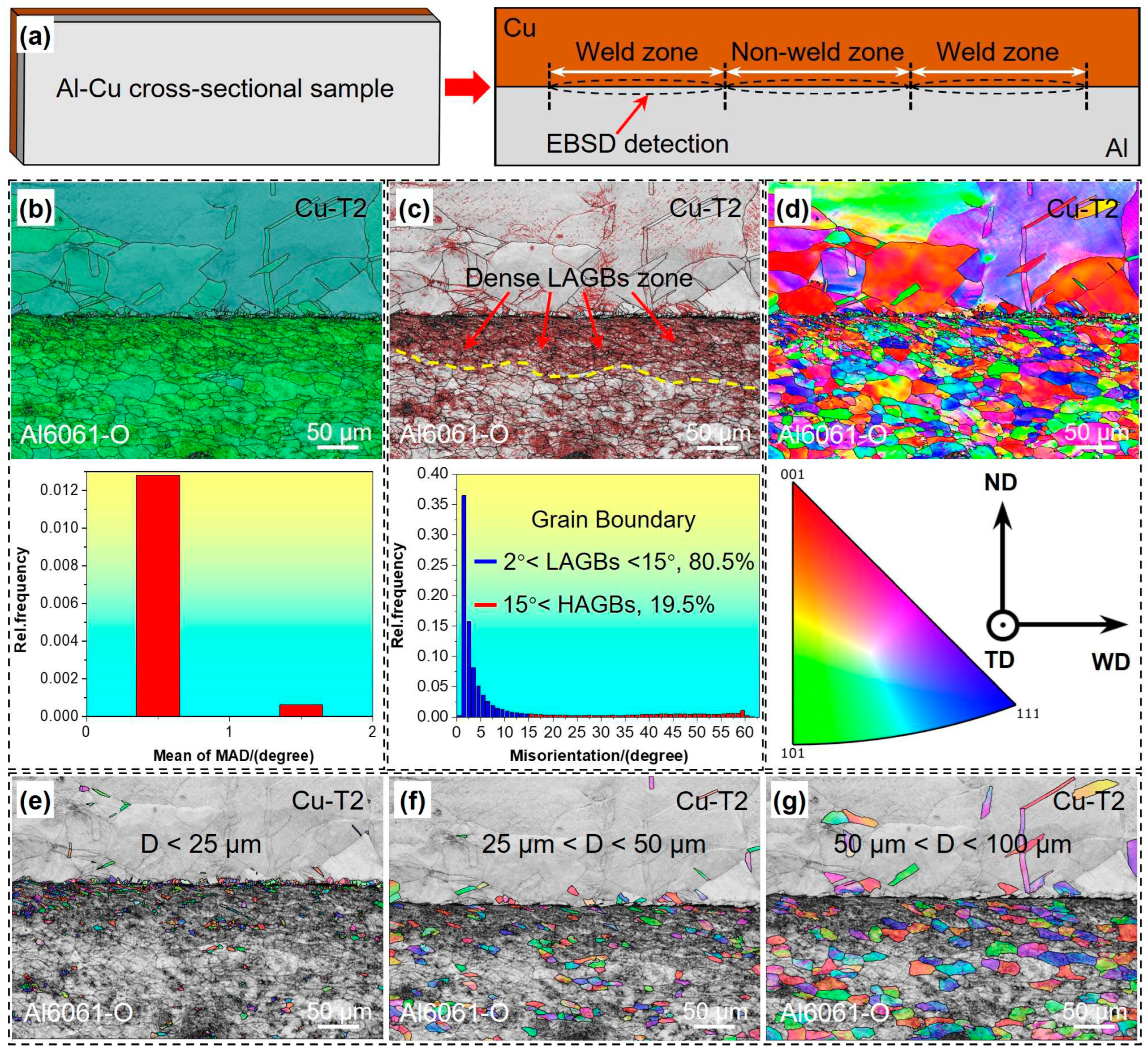 Preprints 98465 g006