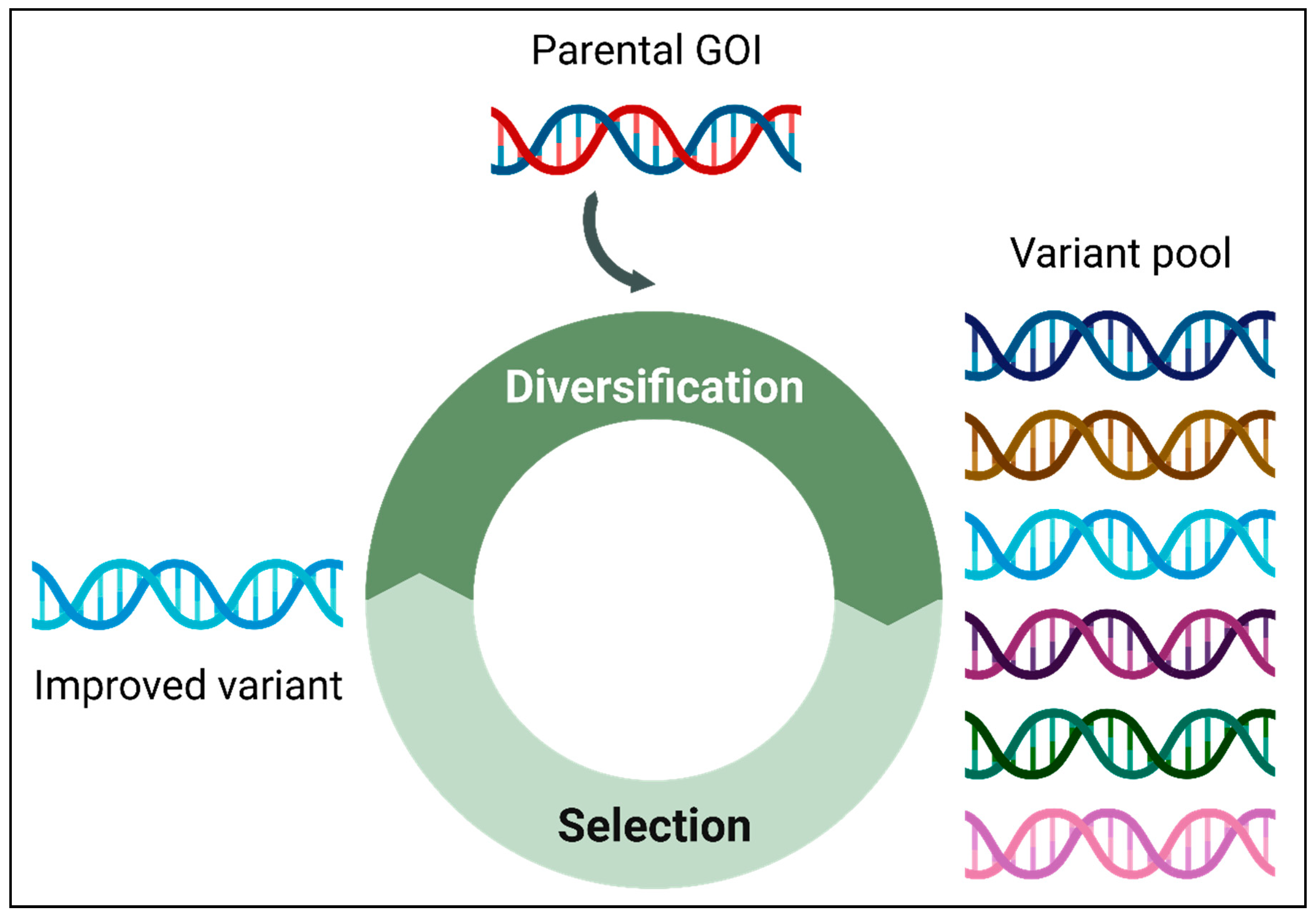 Preprints 93679 g001