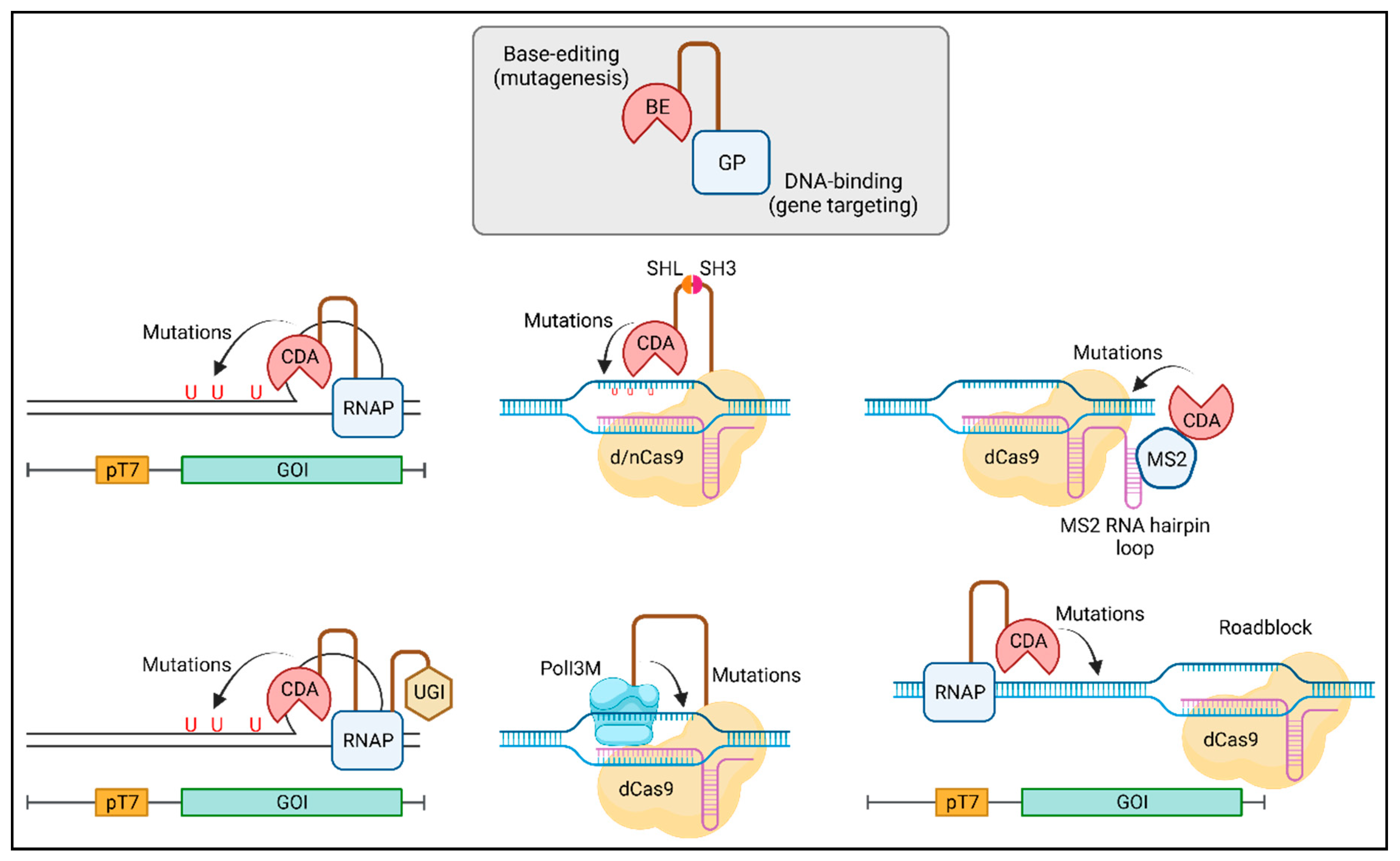 Preprints 93679 g003