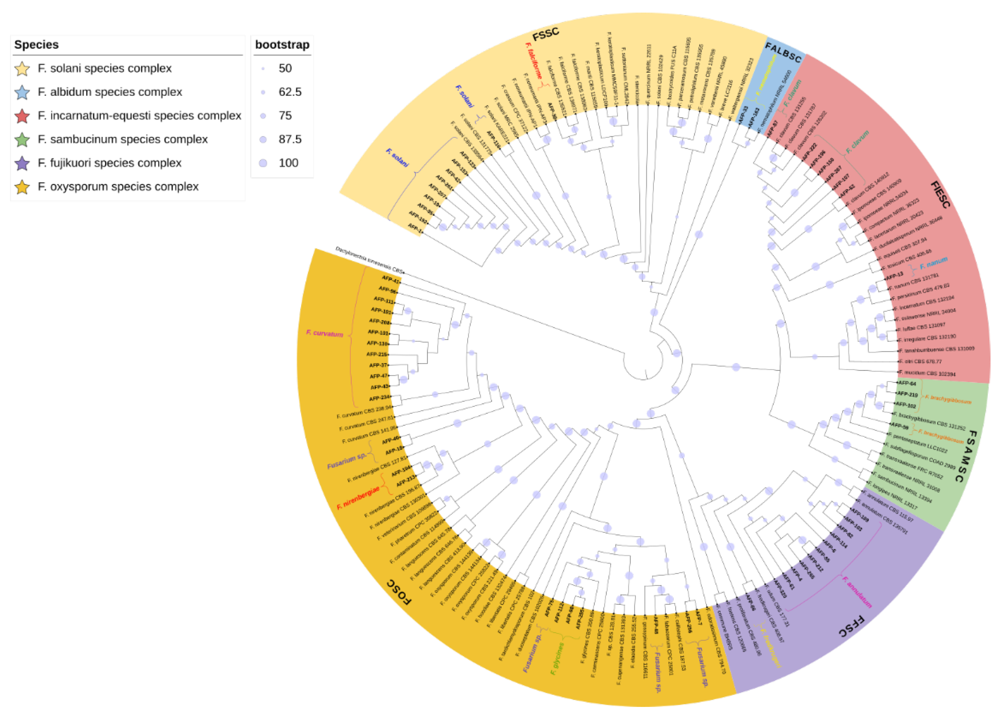 Preprints 106777 g001