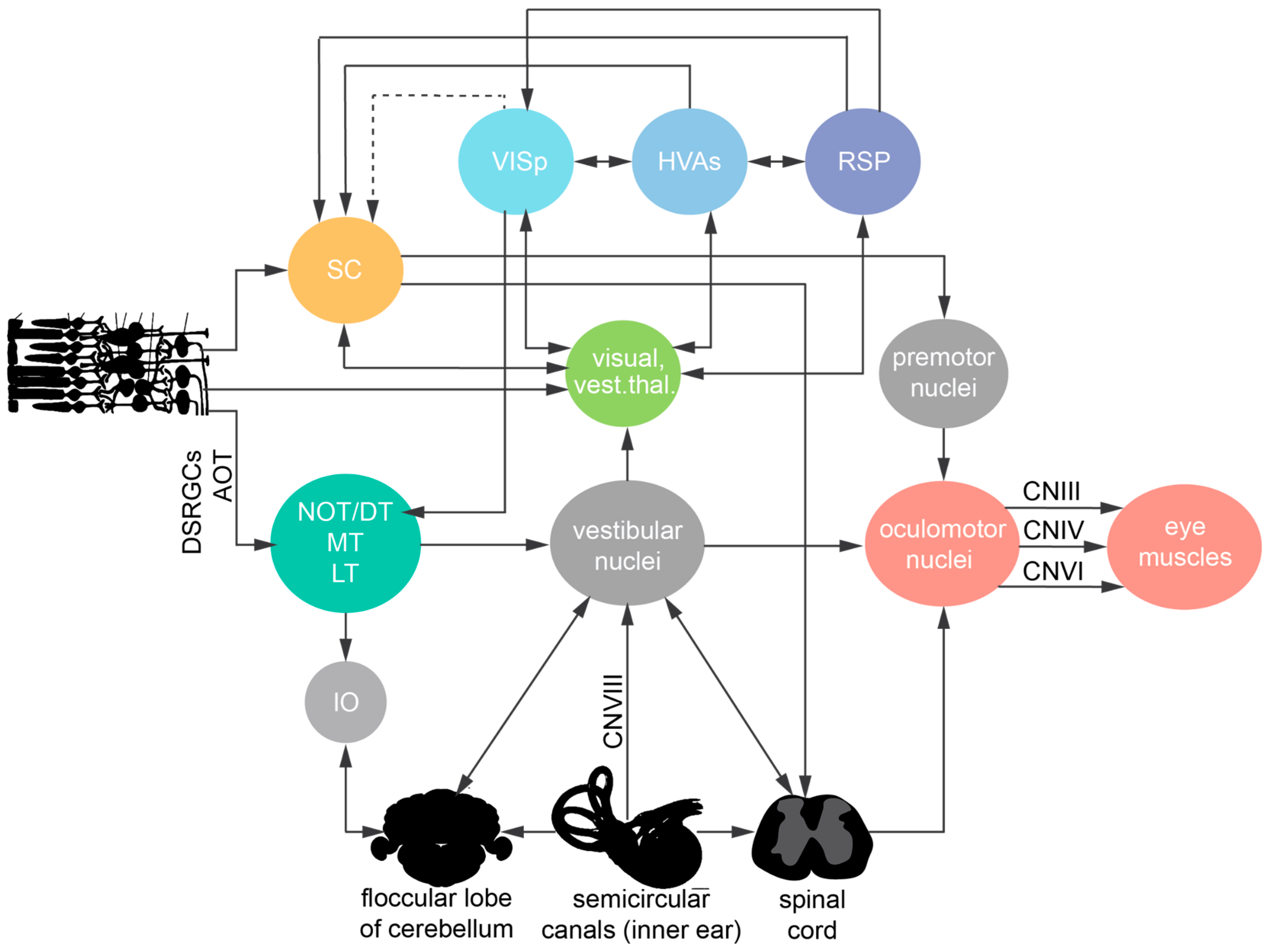 Preprints 75635 g004