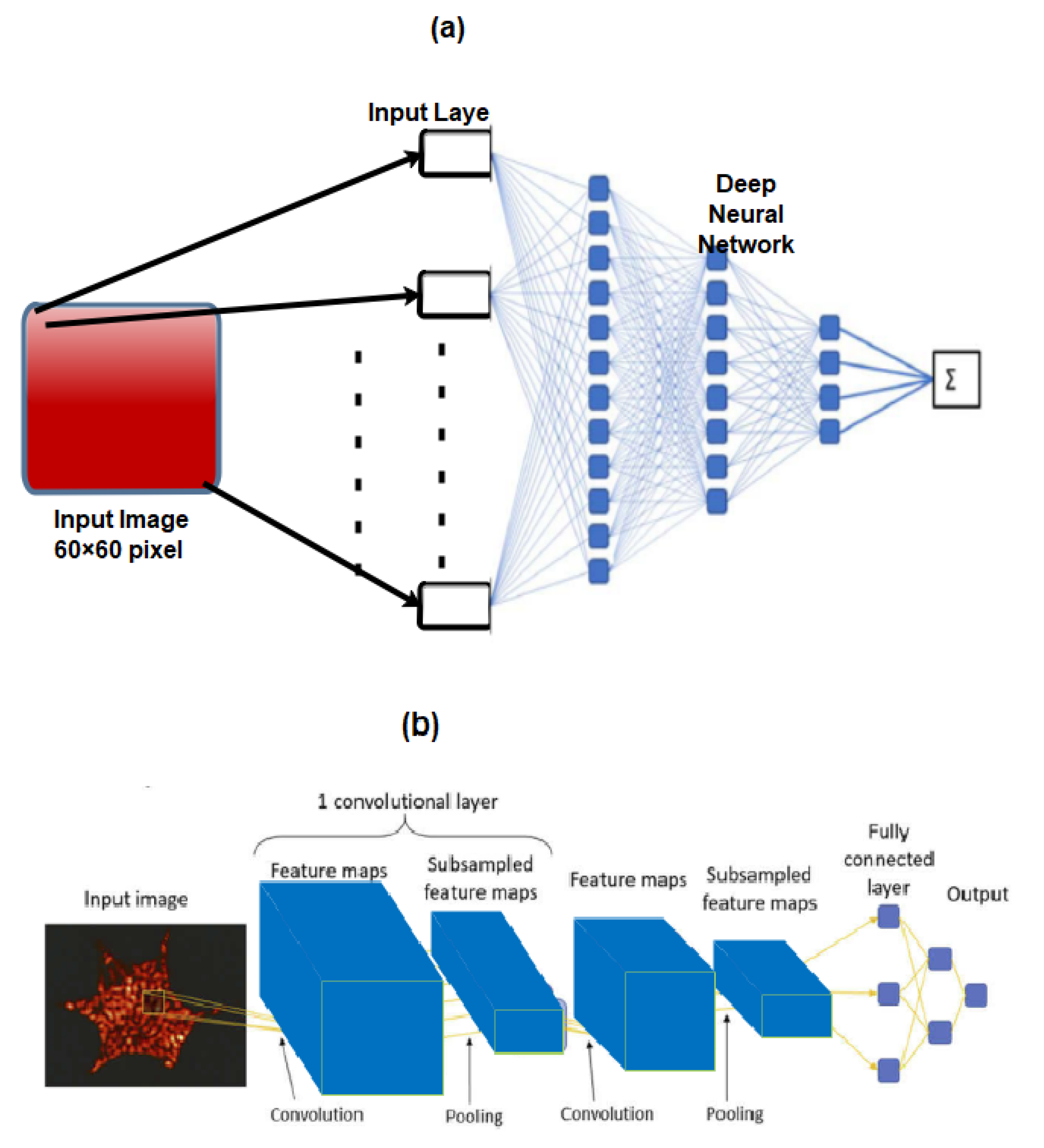 Preprints 76226 g023